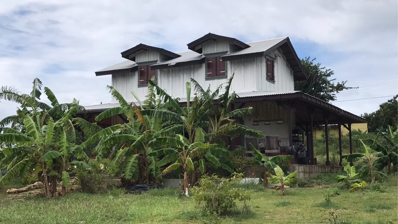 West Indies Design + Build - Image 15