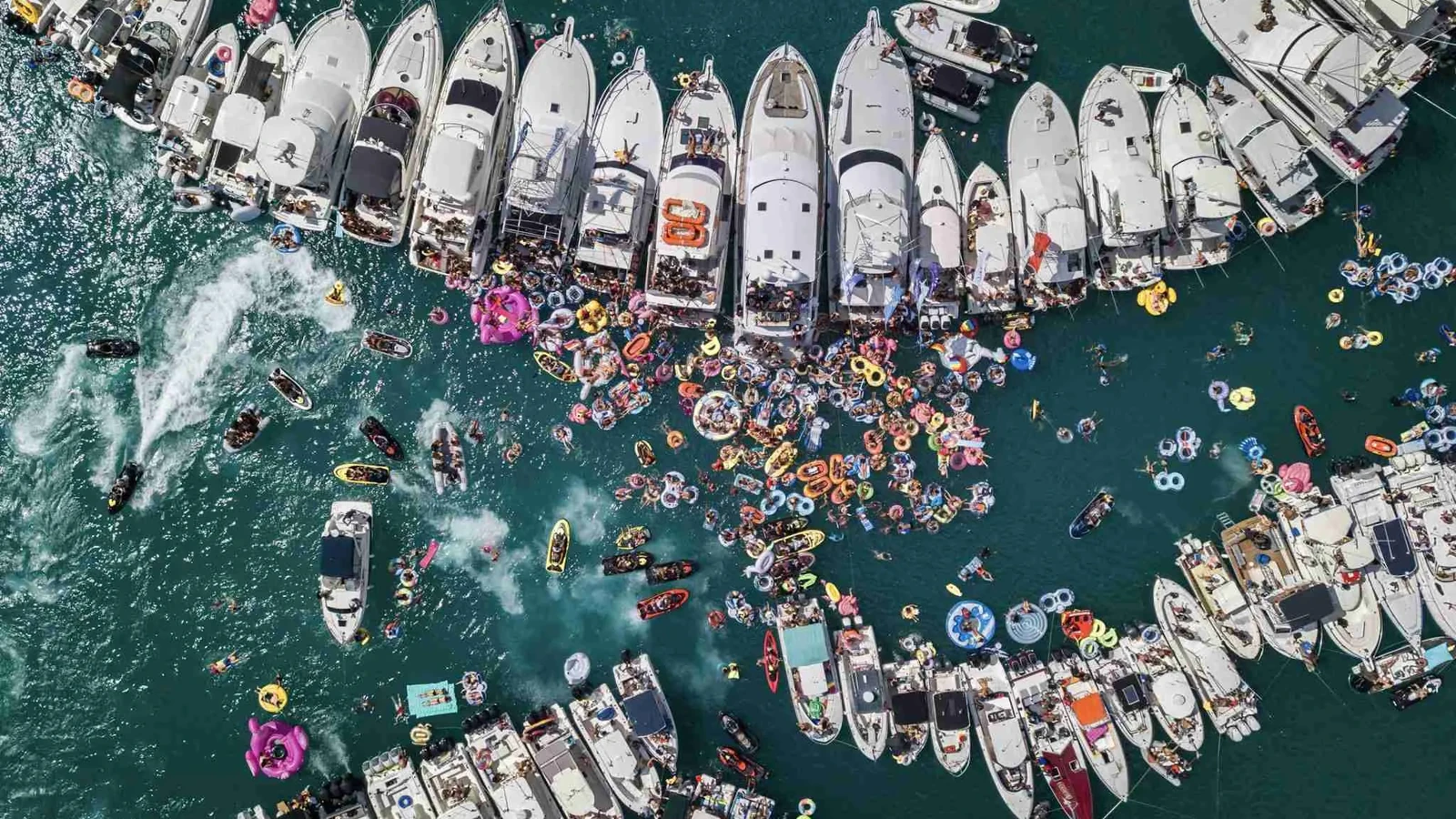 Fuikdag 2025 - Image 1