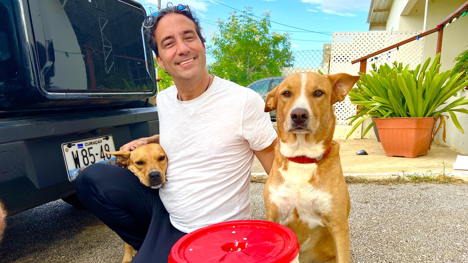 Dogs Of Otrobanda - Image 1