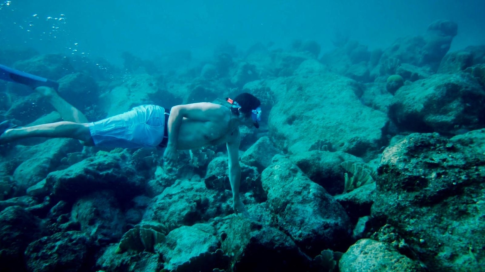 Snorkel Day at Playa Lagun - Image 1