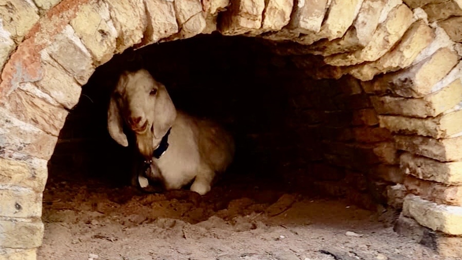 Staying Cool In An Oven? - Image 1