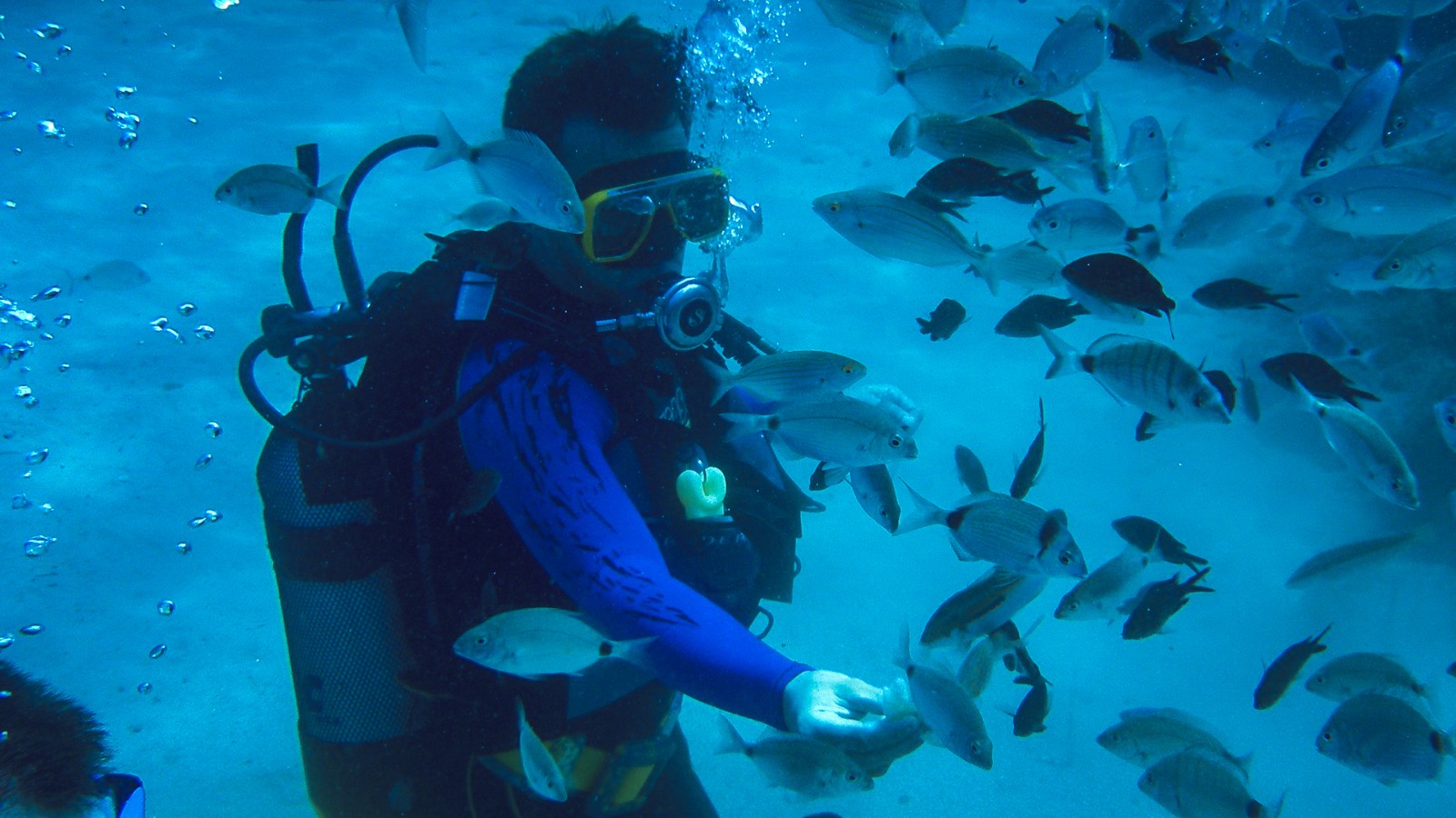 Atlantis Adventure Tours