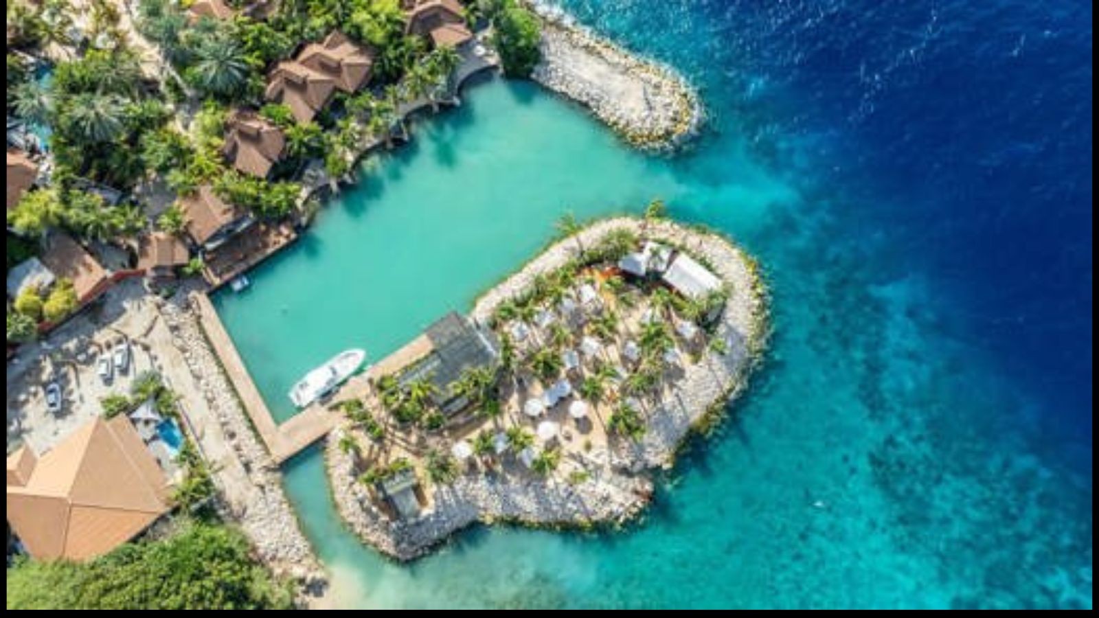 Oyster & Champagne Fridays at Bida - Image 1