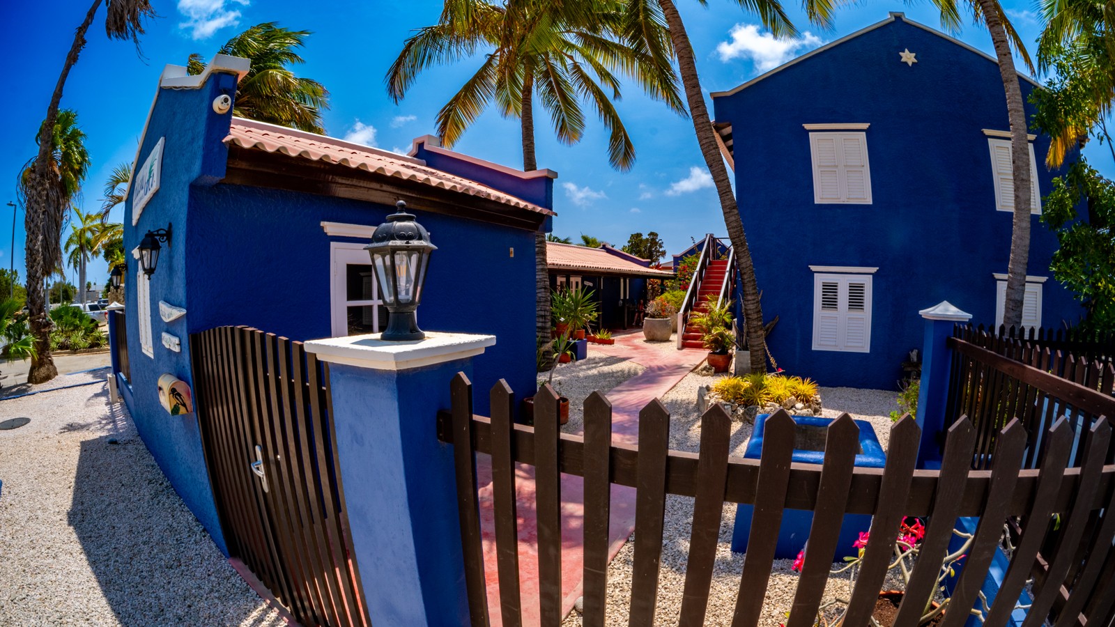 Blachi Koko - Image 2