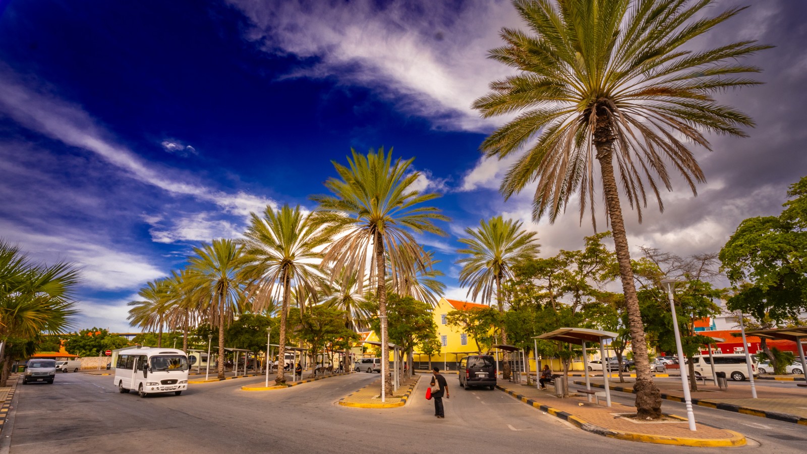 26. Public Transit - Getting Around by Bus - Image 2