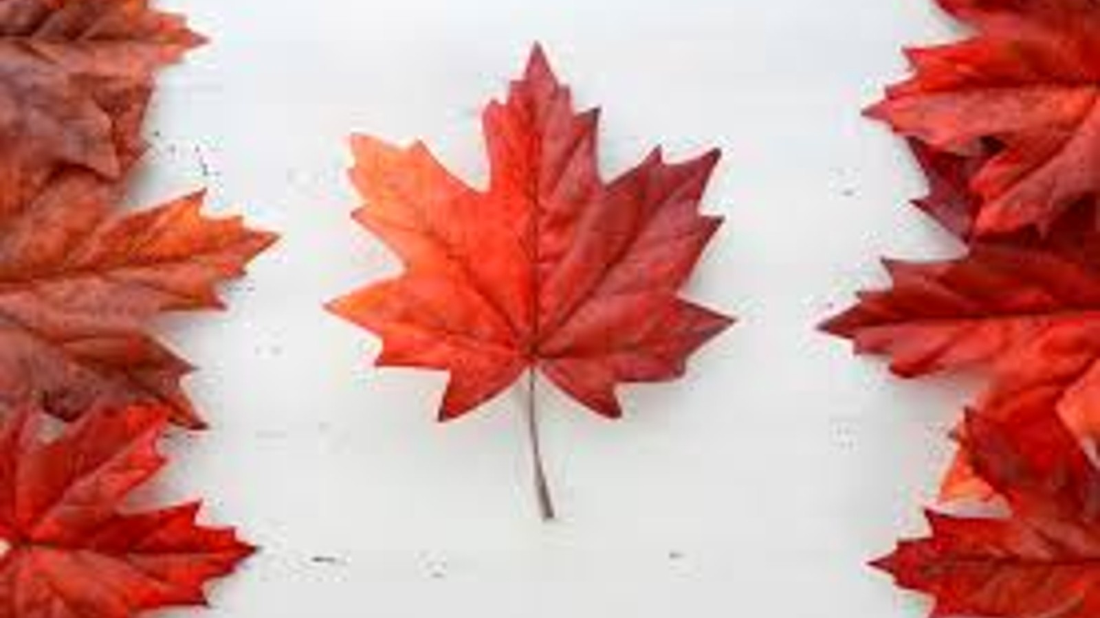 Canada Day - Image 1