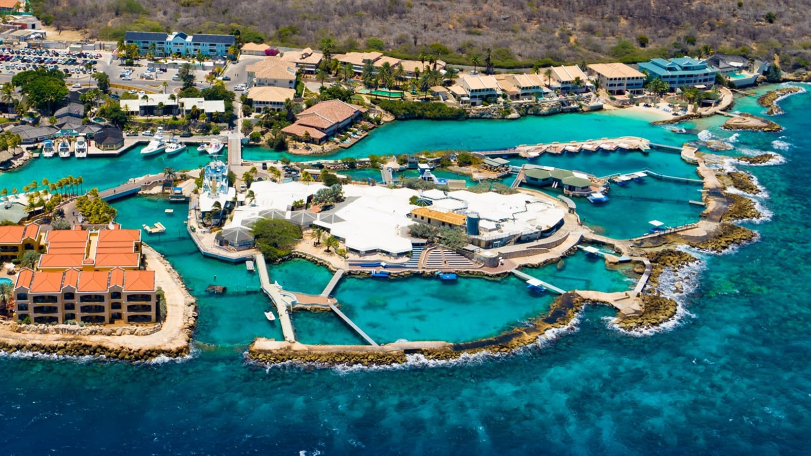 Curacao Sea Aquarium
