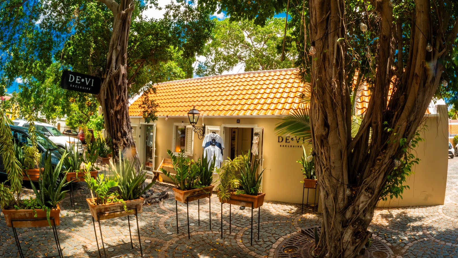 De.Vi Exclusives - Image 4