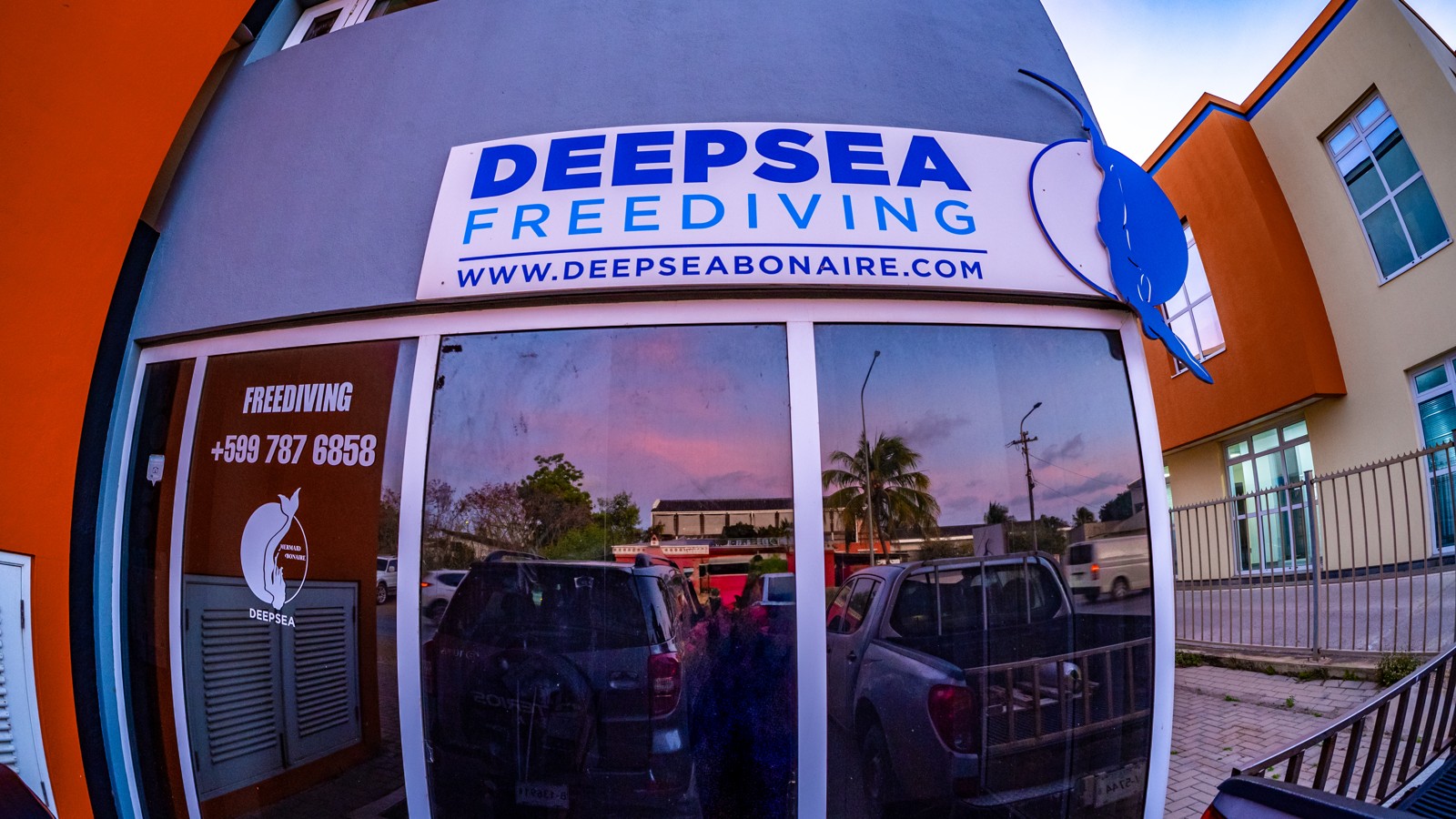 DeepSea FreeDiving - Image 1