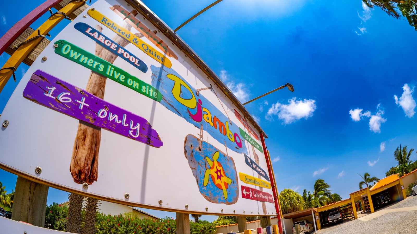 Djambo Bonaire - Image 2