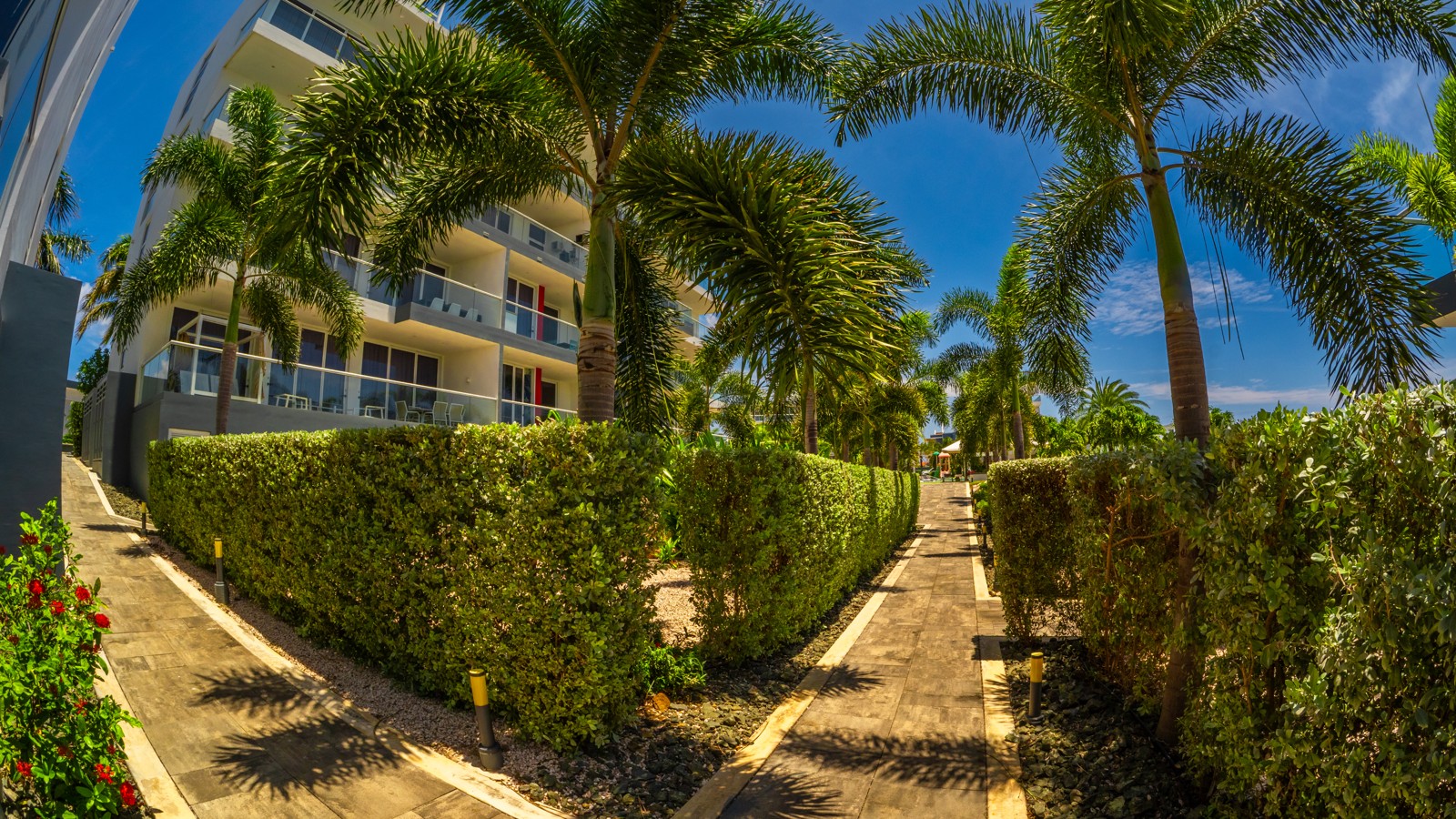 Garden Paths & Local Wildlife F2 - Image 4