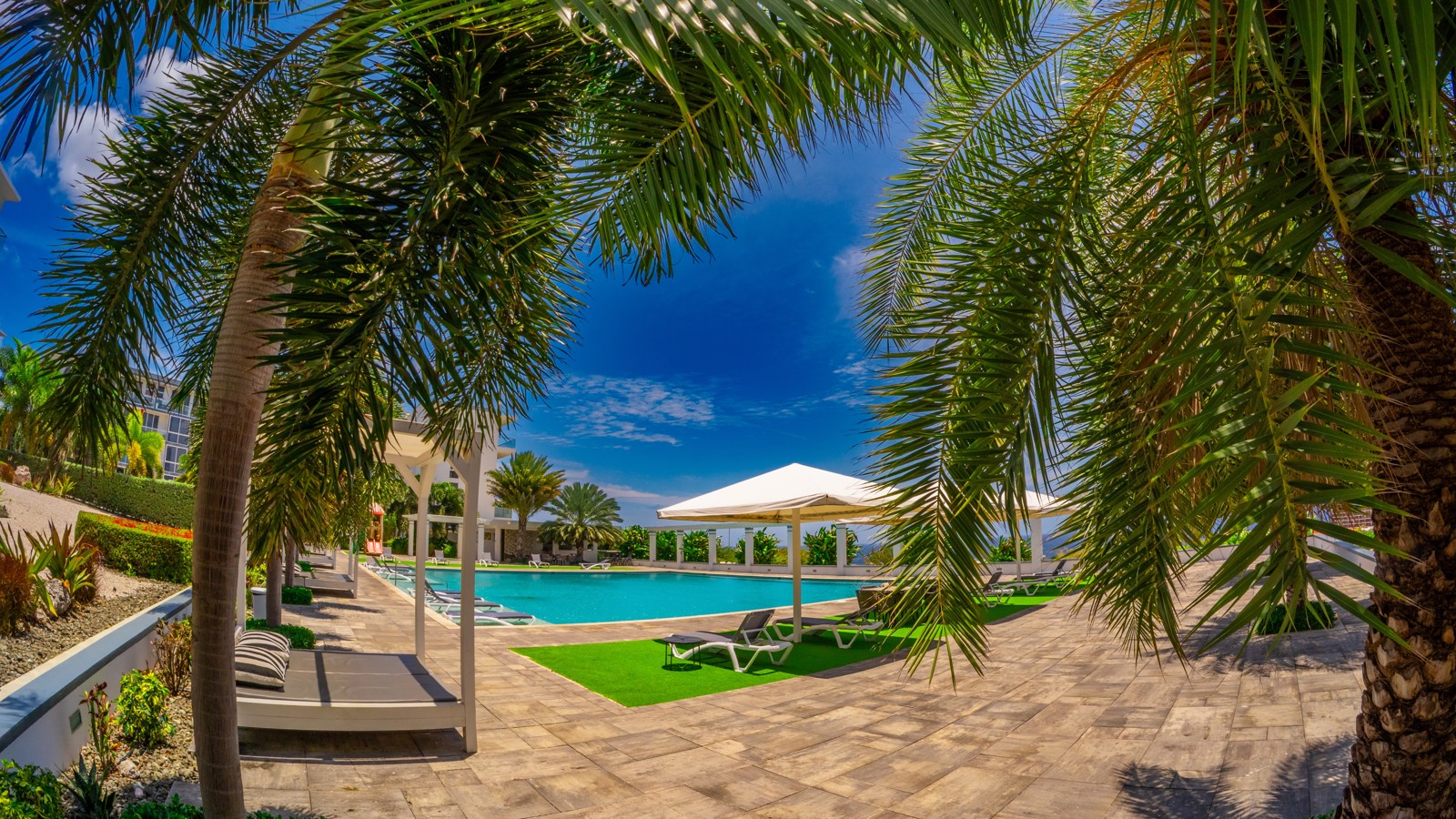 Garden Paths & Local Wildlife - Image 3