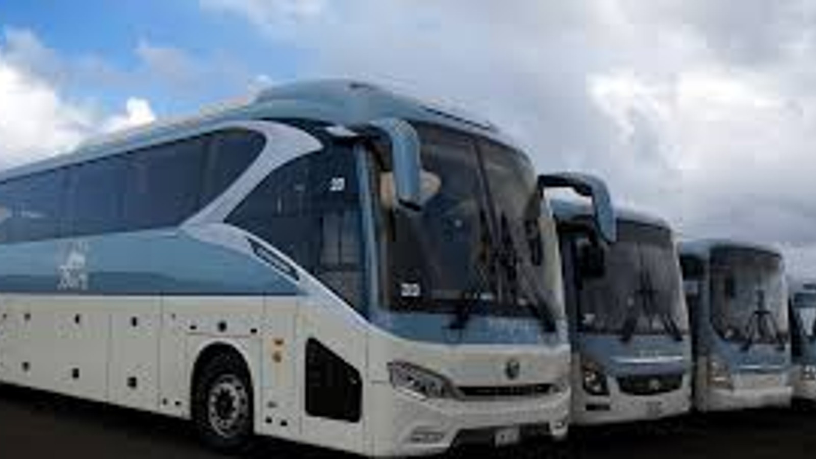 Fiesta Tours - Image 1