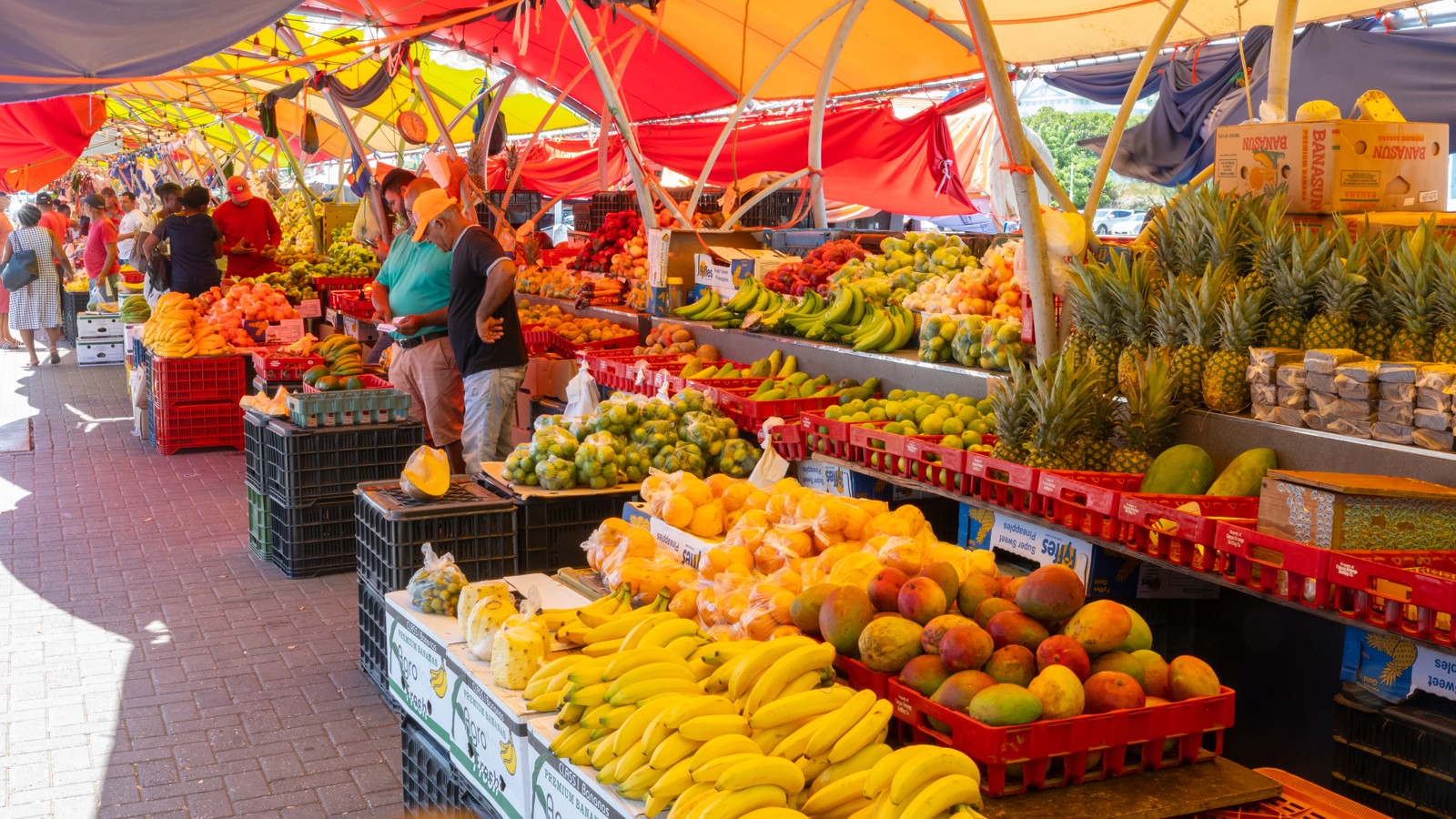 Floating Market - Image 1