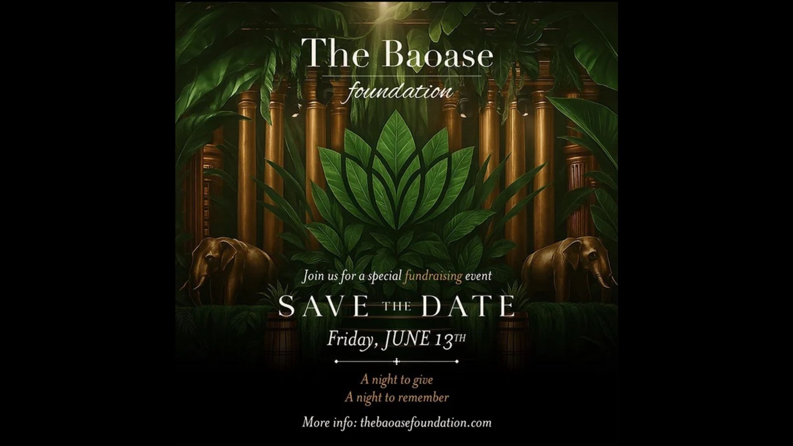 The Baoase Foundation – Special Fundraising Event - Image 1
