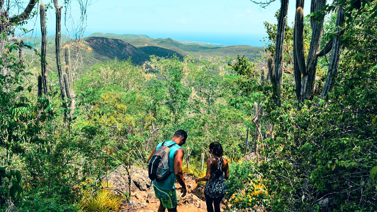 Gone Caribe - Image 1