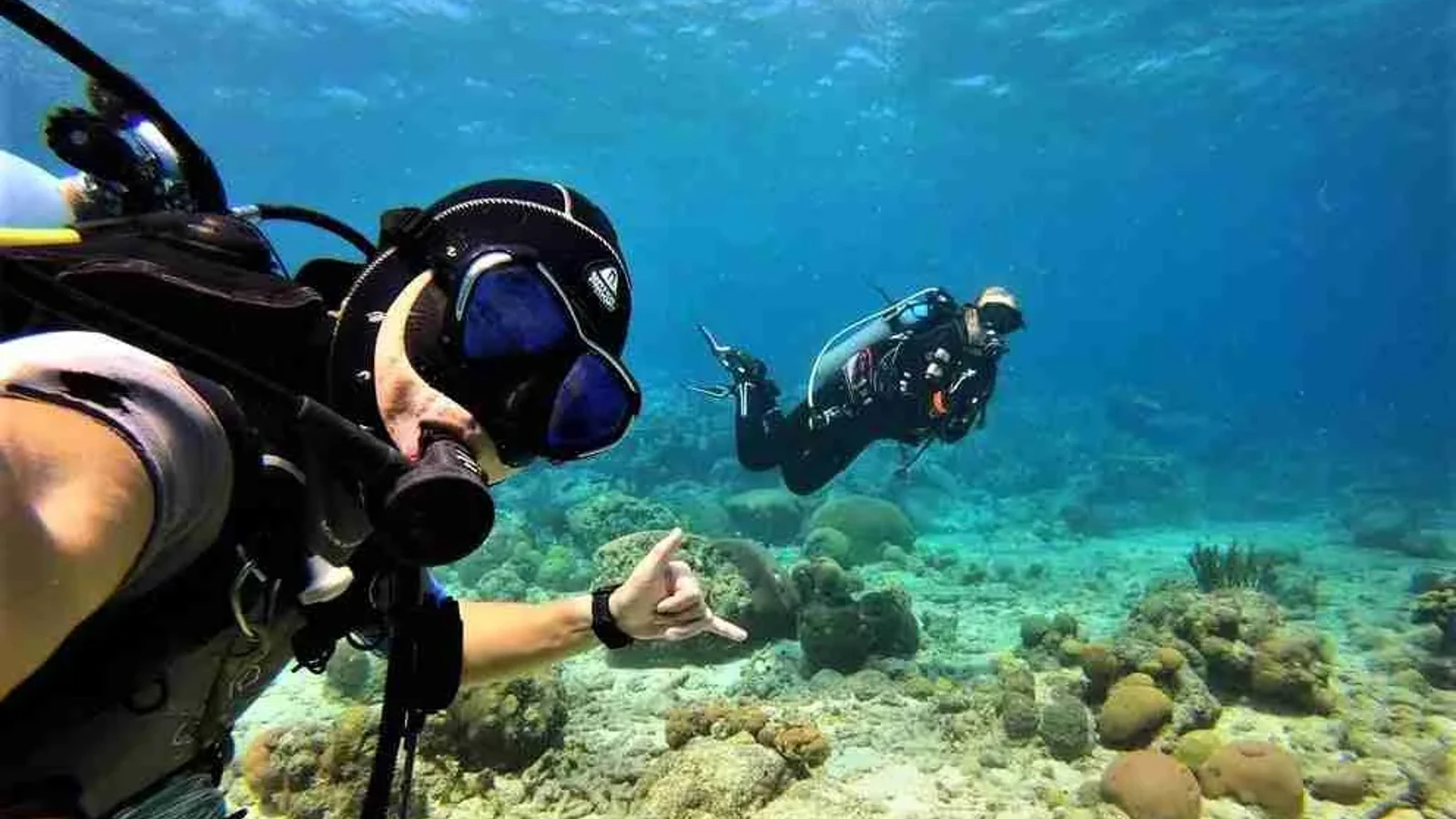 Guided Shore Dive (The Dive Bus)