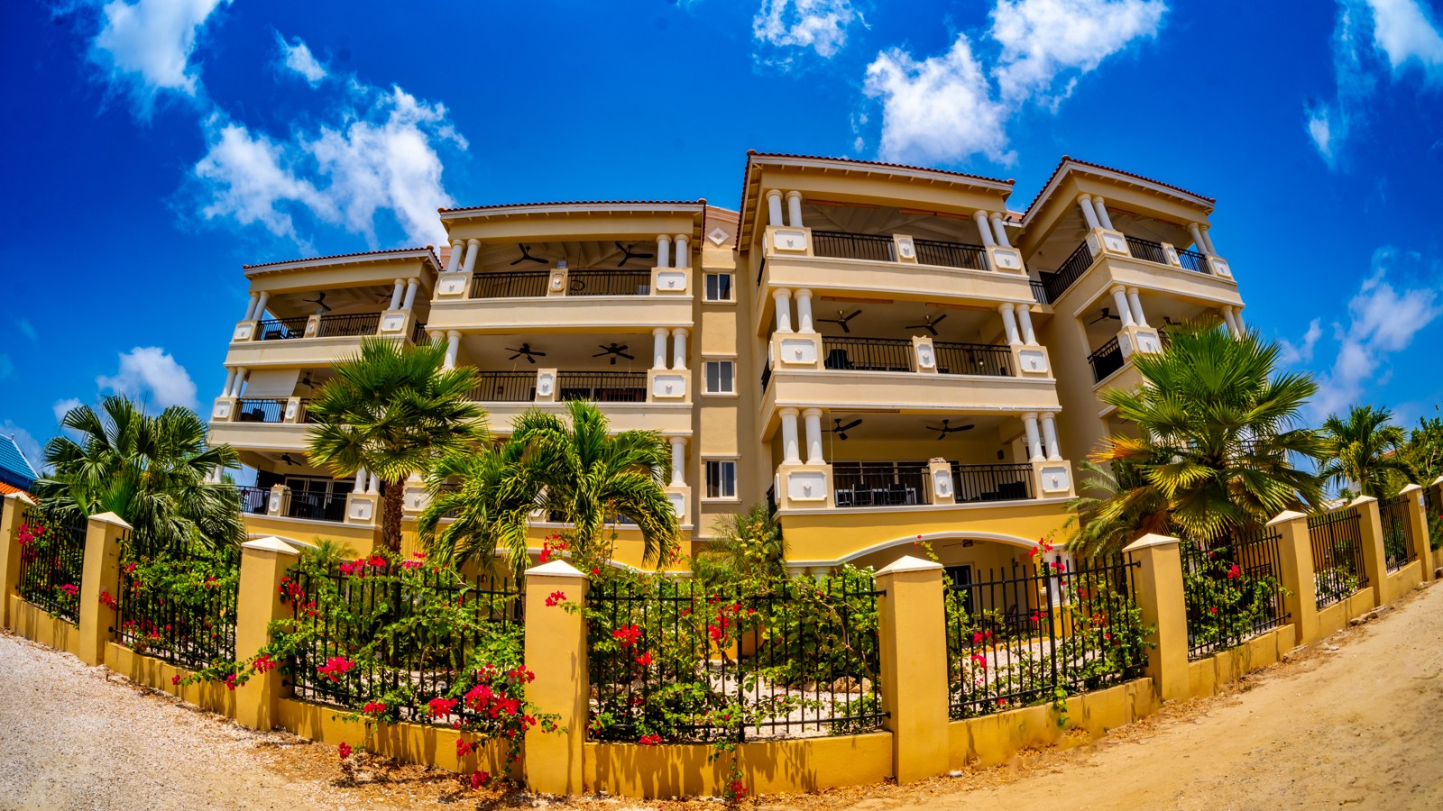 Hausmann Follies - Image 1