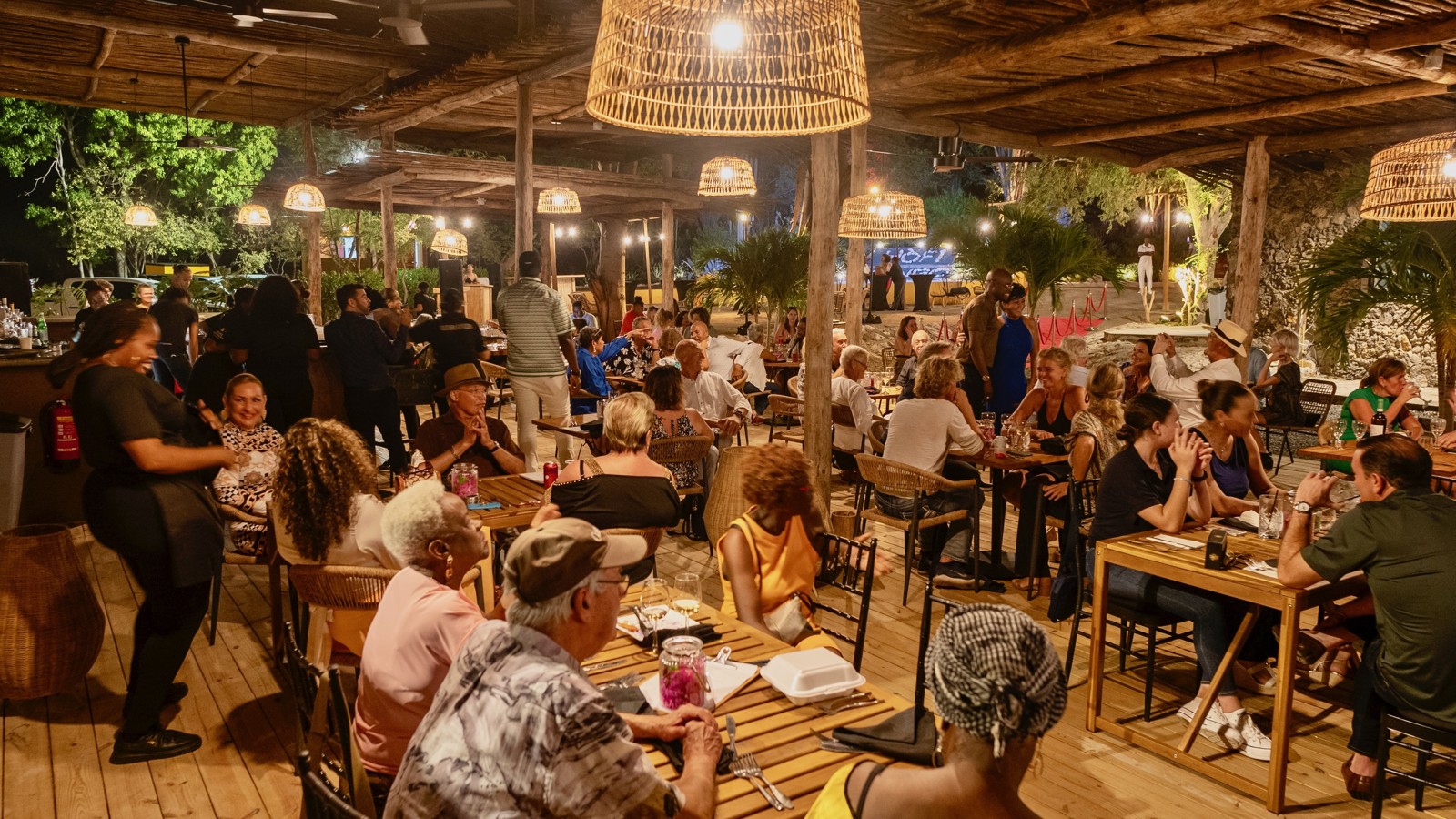 Hofi Mango - Image 8