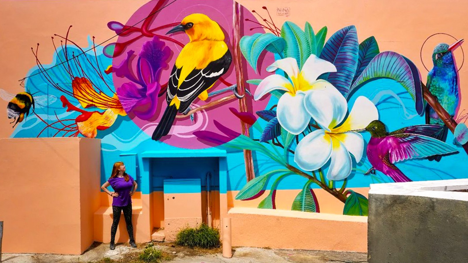 38. Kaya Kaya Birds - Image 1