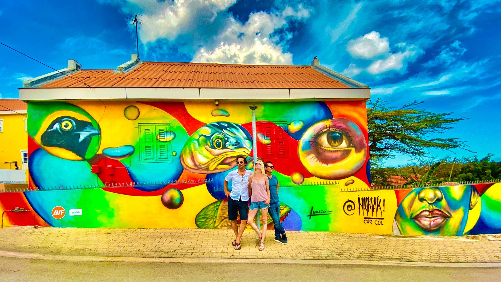 30. Multi-Colored Animals - Image 1