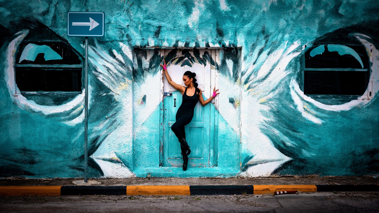 13. Hawk Face with Window Eyes