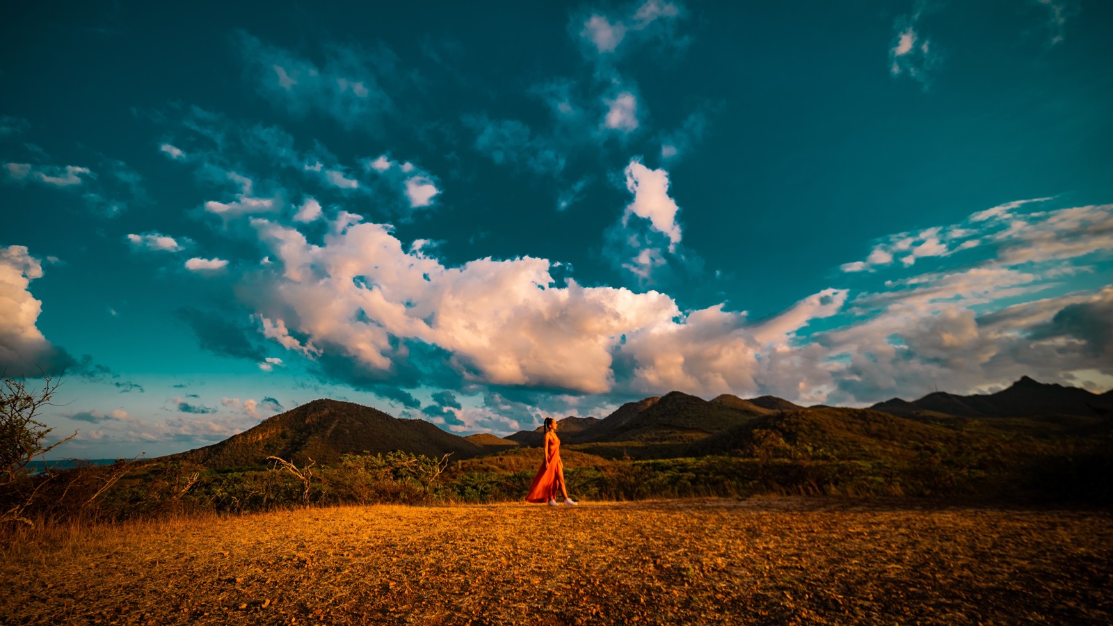 73. Hofi Mango National Park - Image 2