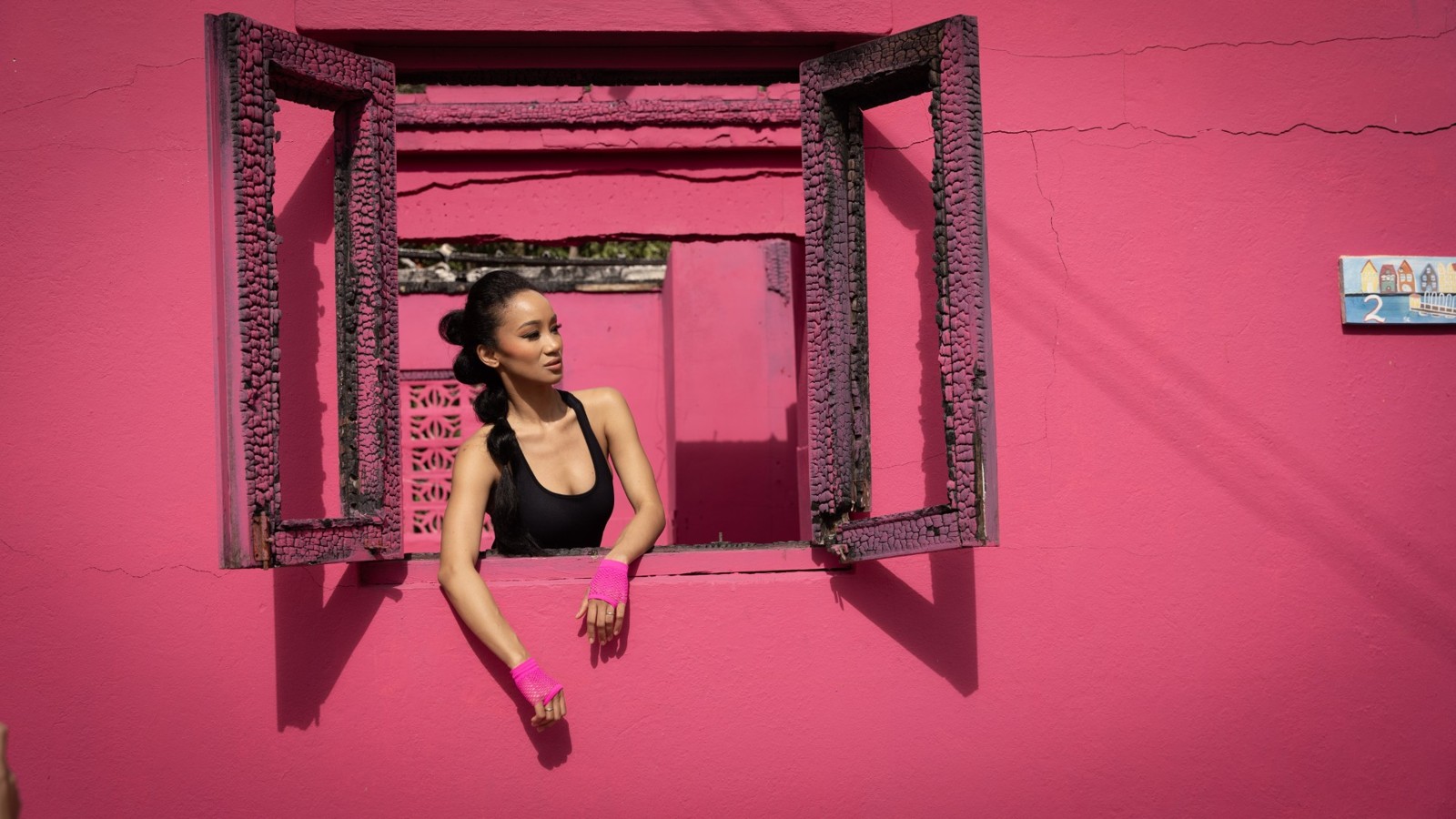 11. Pink on Fire - Image 2