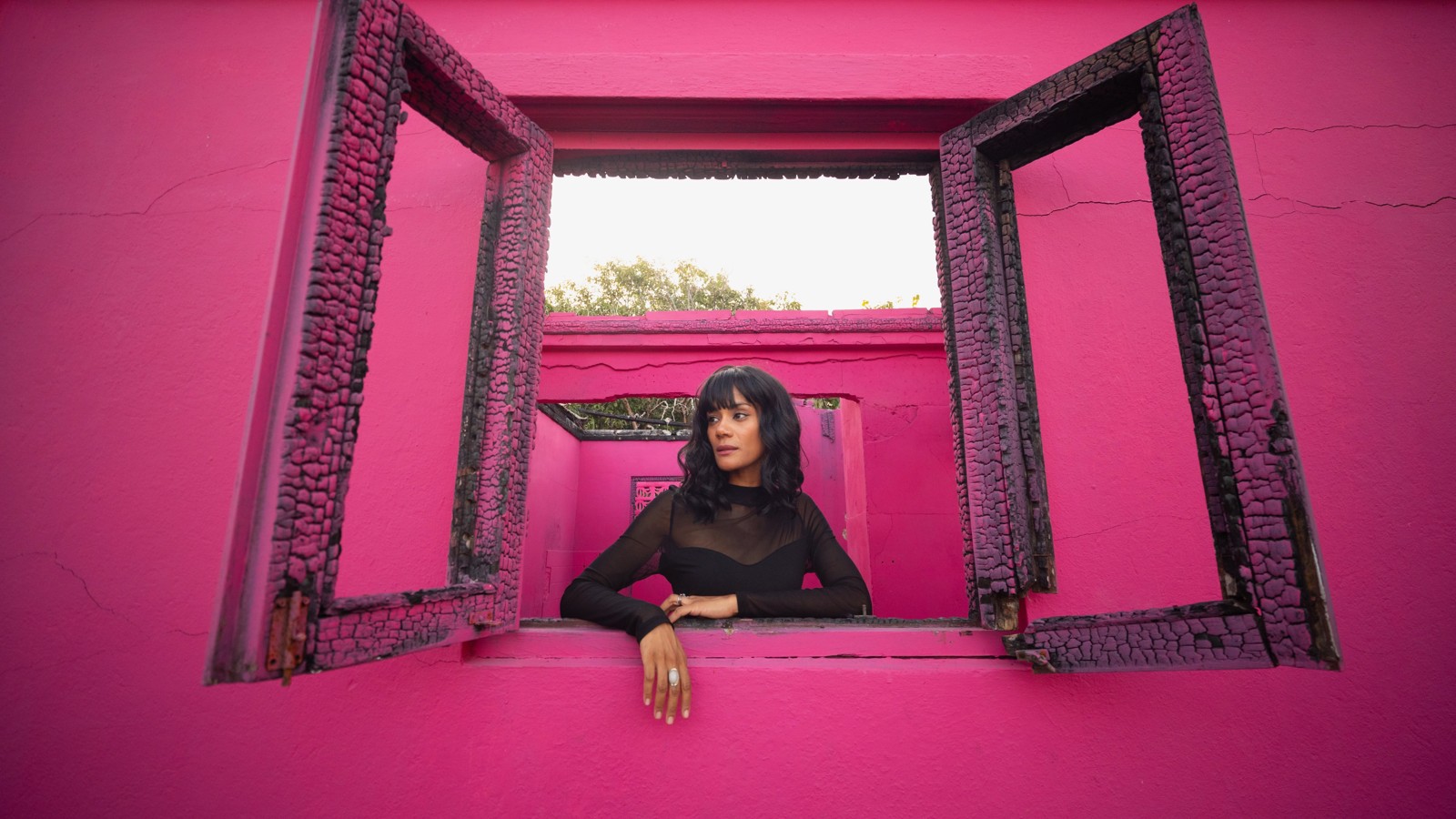 Instagram Photo Tour - Image 1