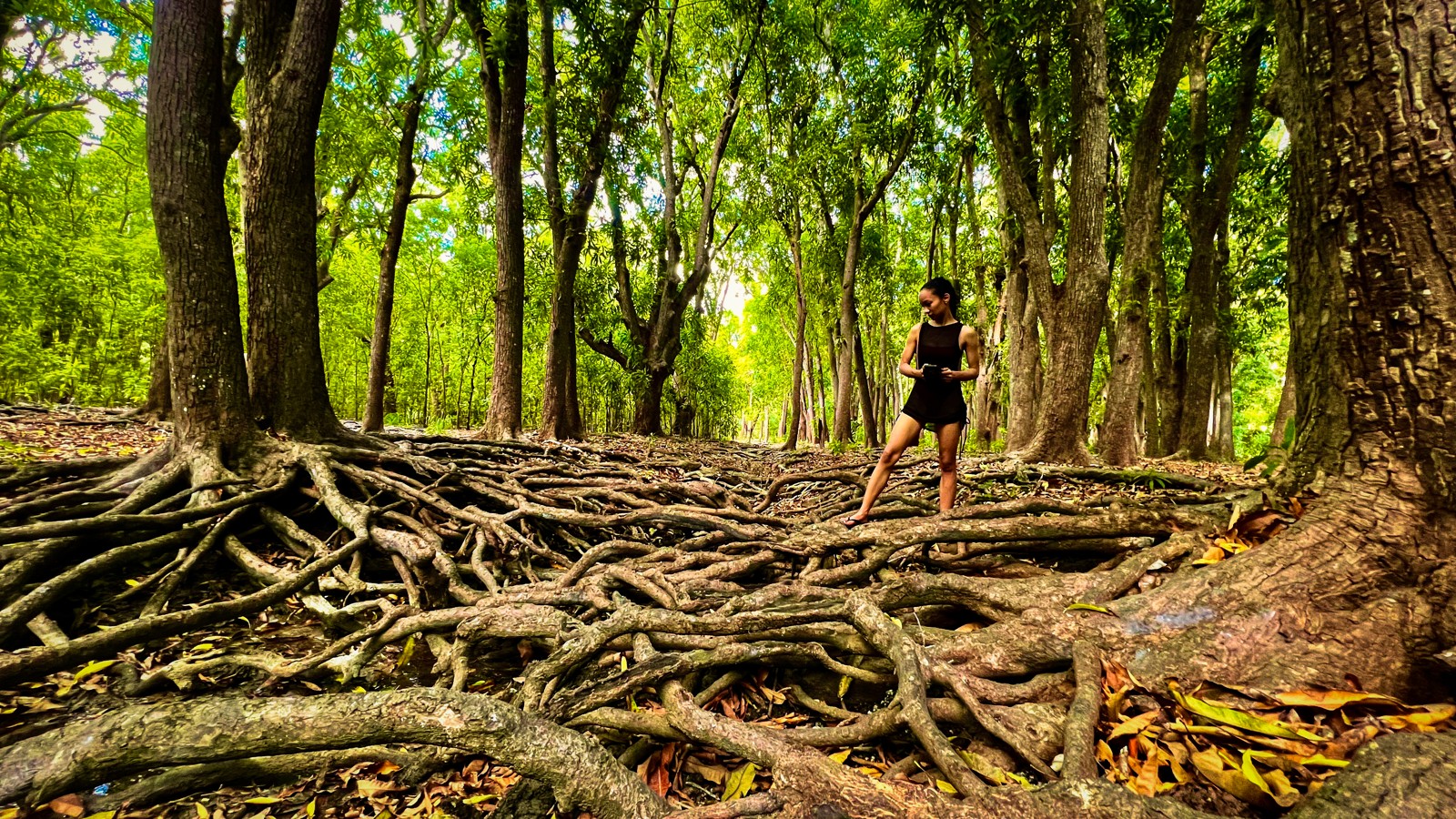73. Hofi Mango National Park - Image 5