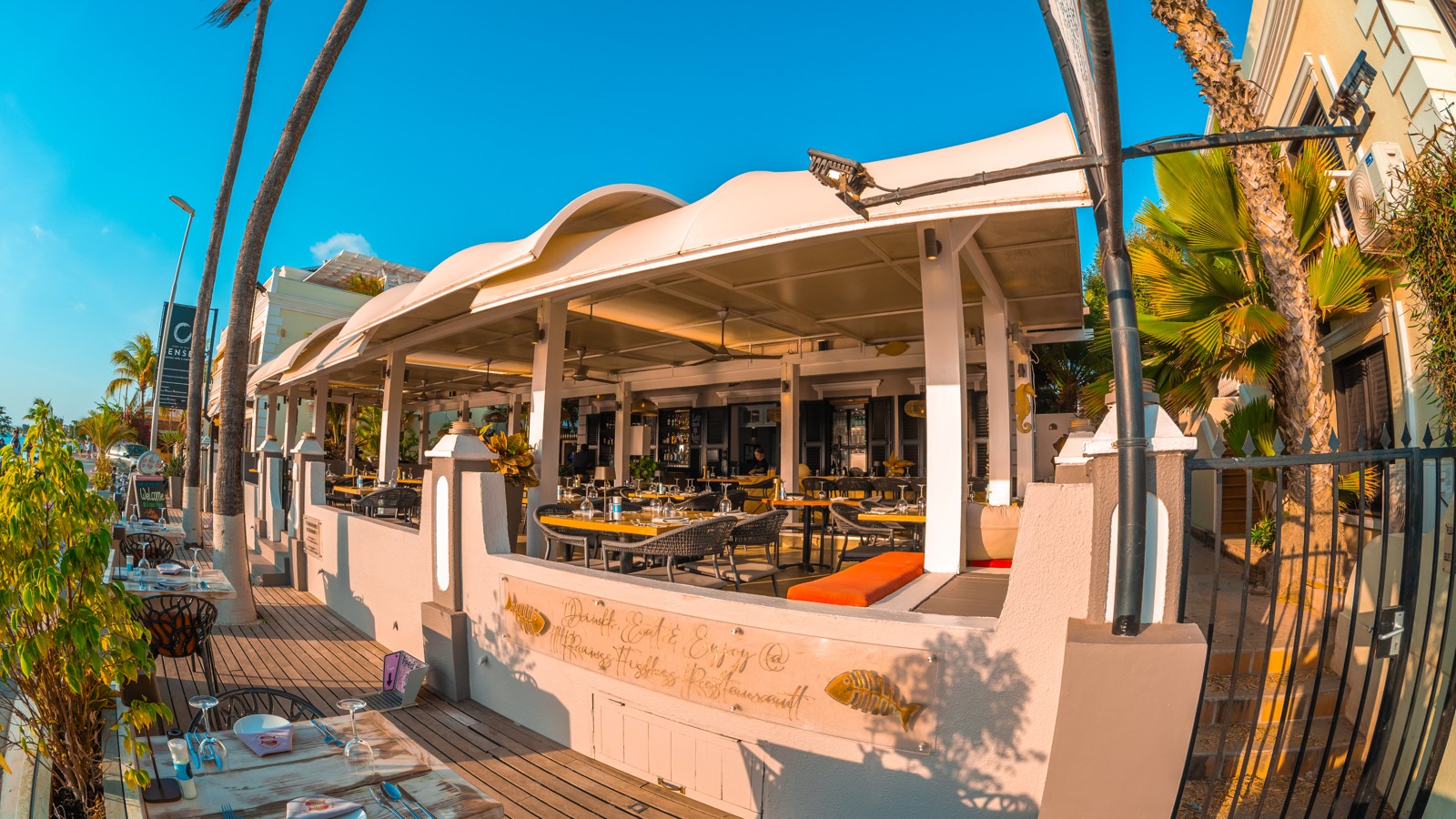 It Rains Fishes - Image 3