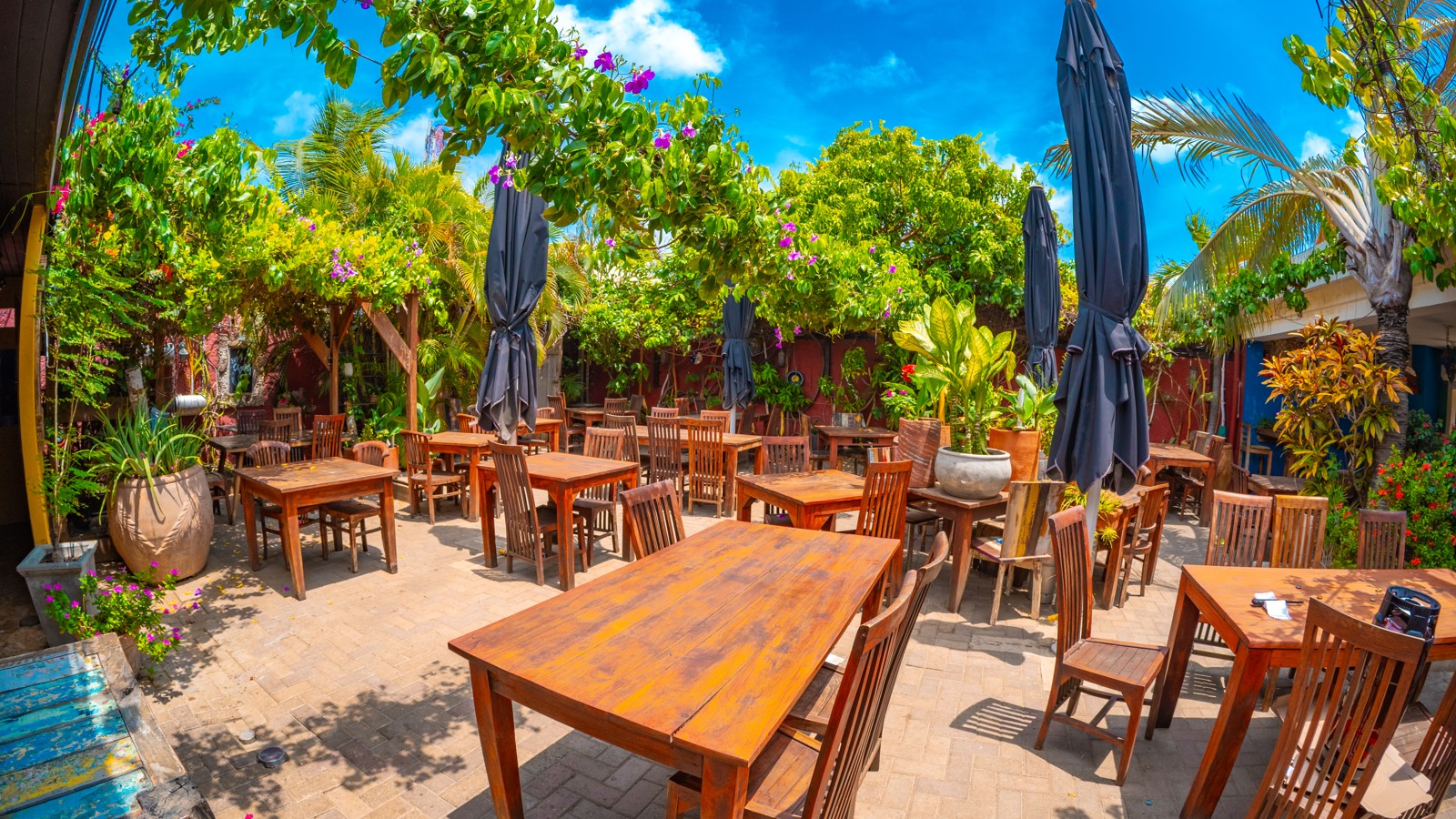 La Cantina Cerveceria - Image 3