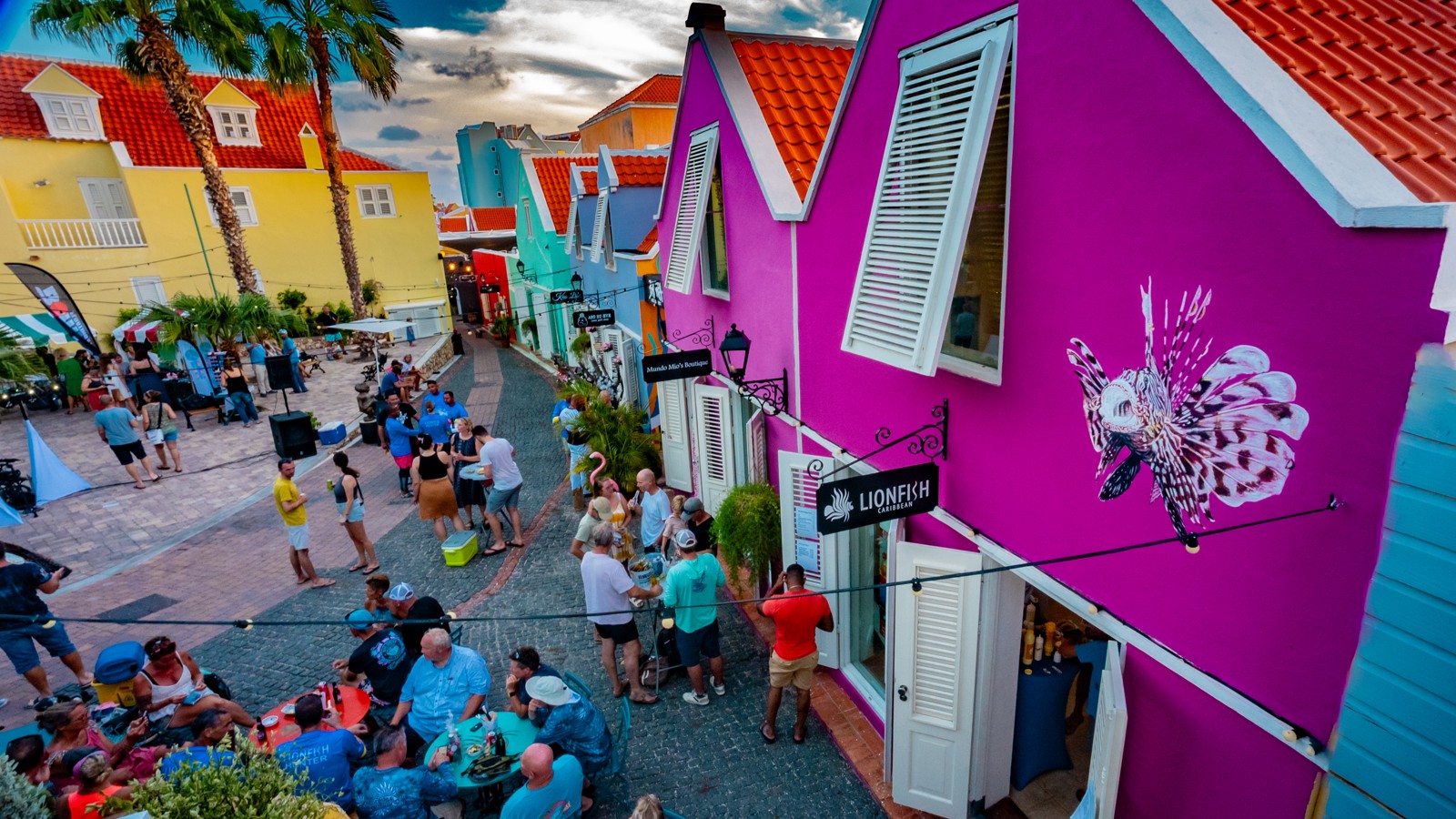 Lionfish Caribbean - Image 2