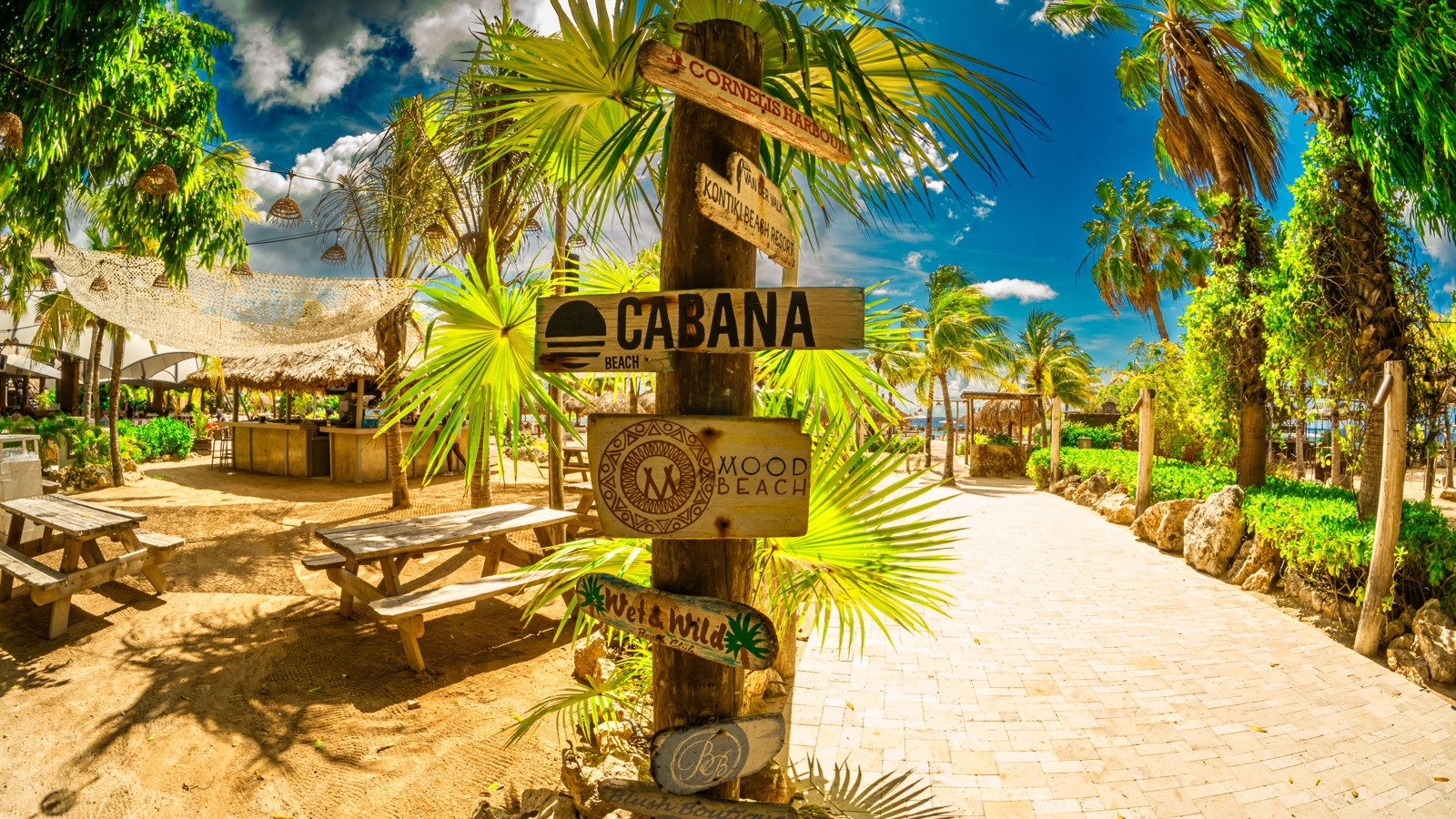 Which Way Will You Mambo? - Image 1