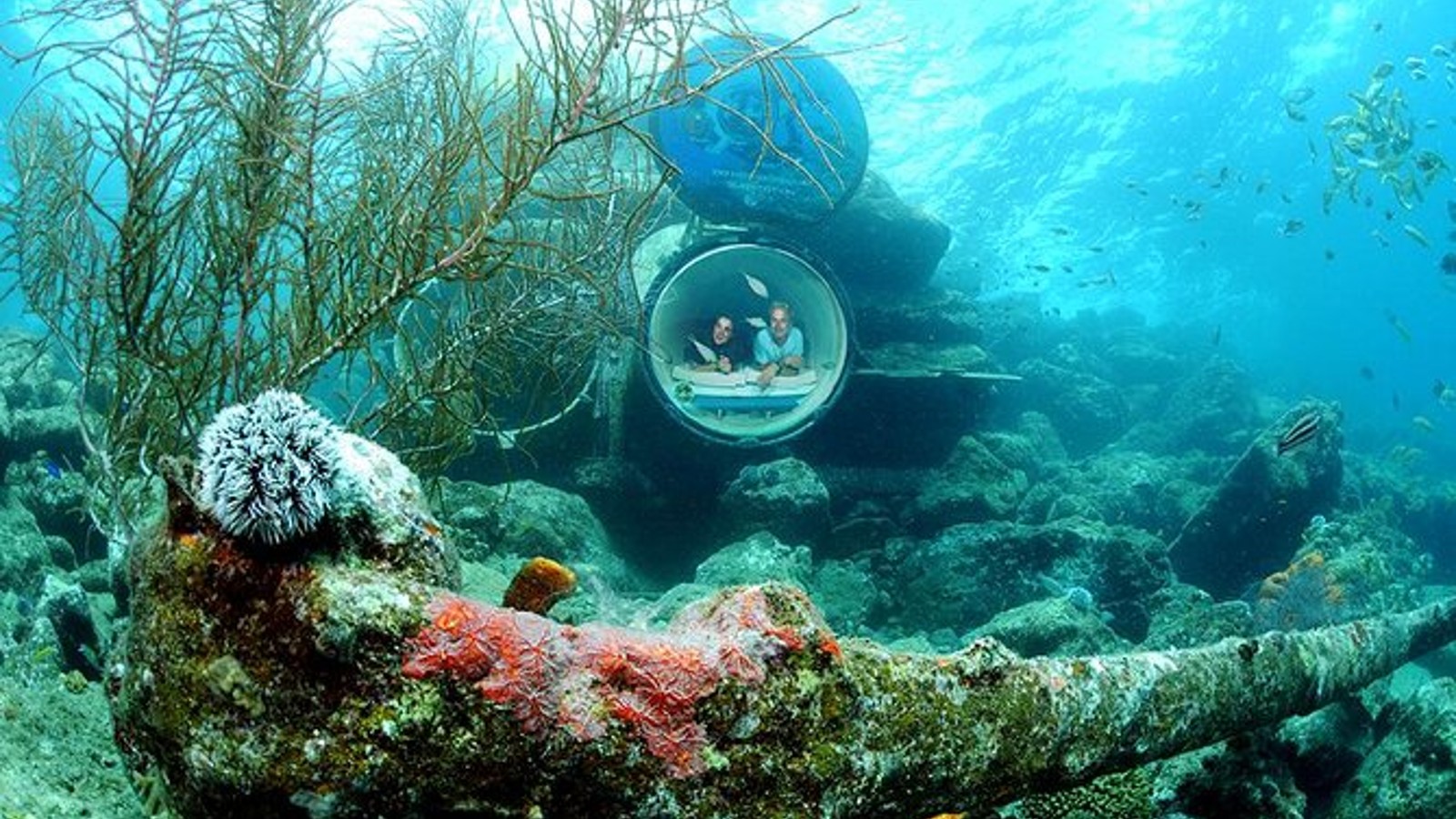 Ocean Lens Underwater Observatory