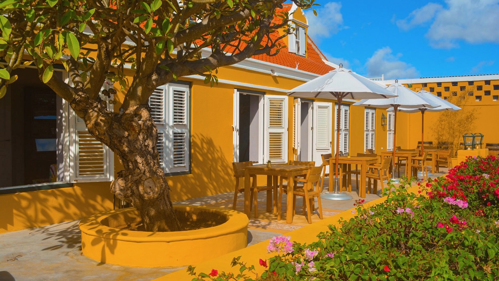 Plantation Jan Thiel Lodge - Image 6