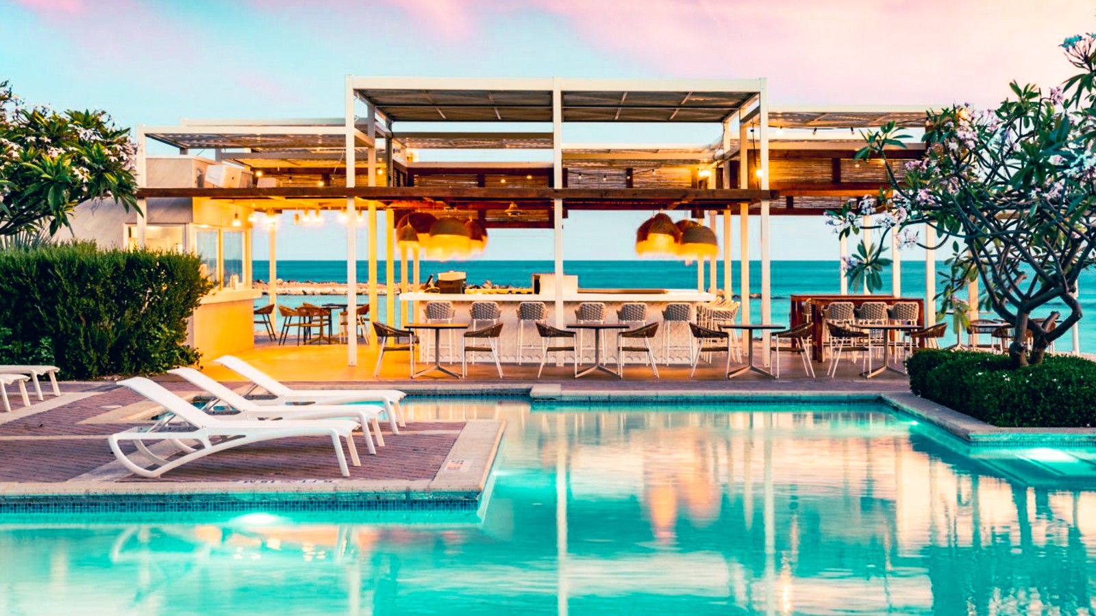 Salty Iguana - Image 1