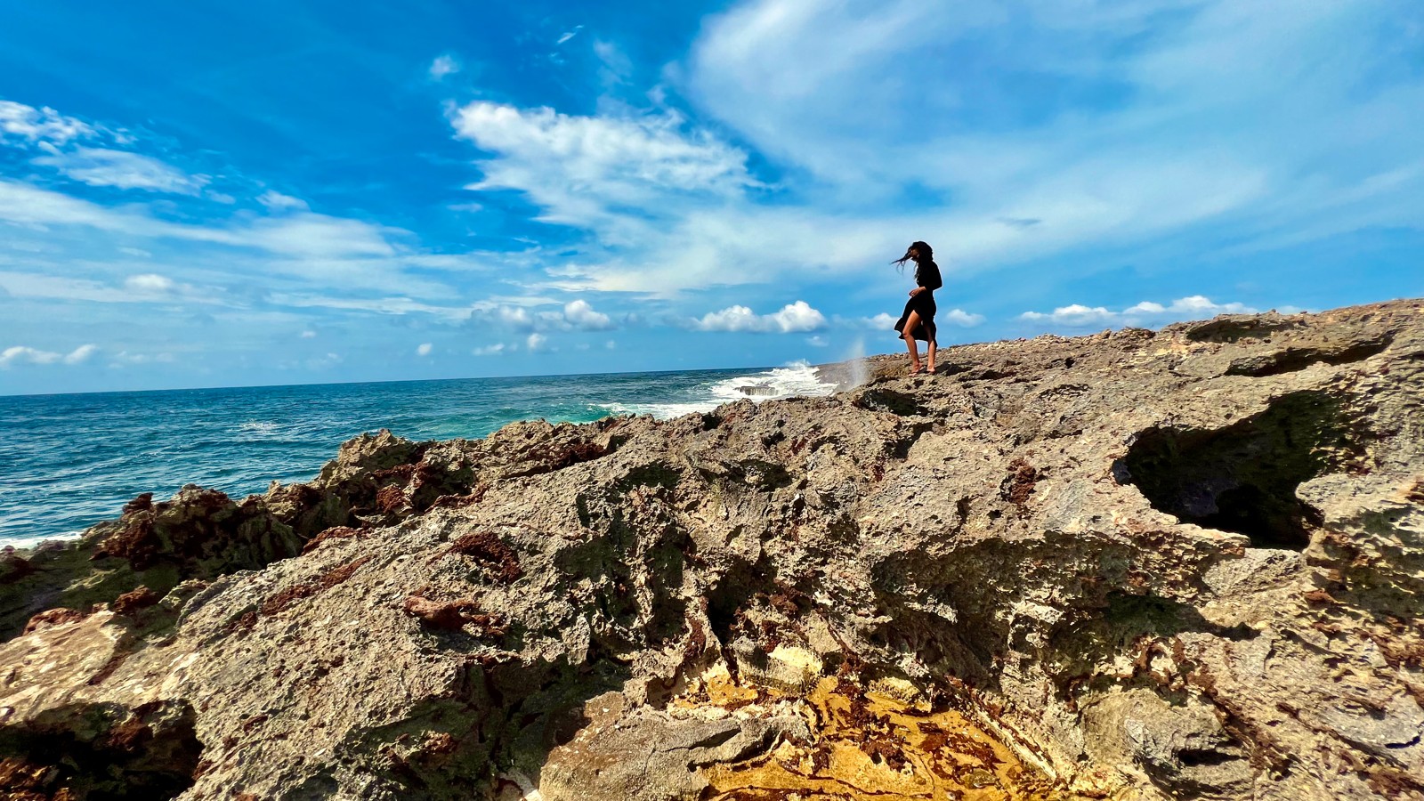 Island Experience Full-Day Tour - Image 1