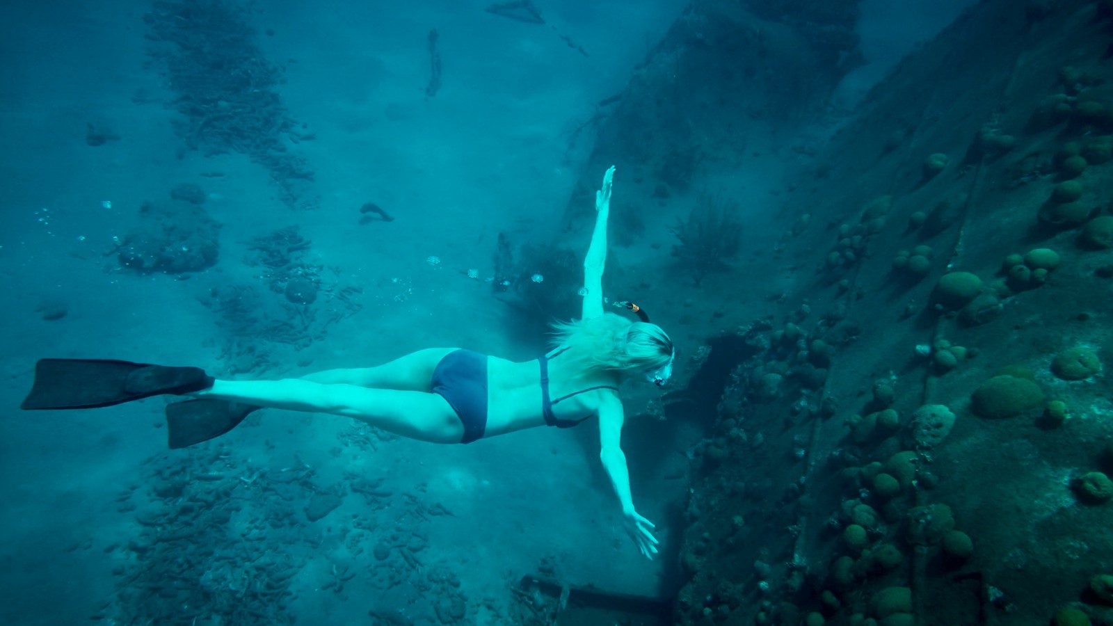 Curacao Kayak and Snorkel Adventure by Adventure Tours - Image 1