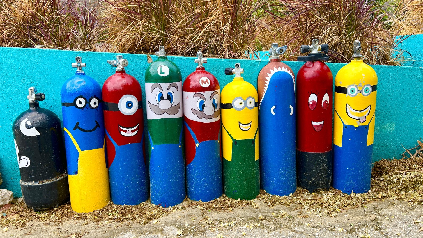 Dive Buddies Ready - Image 1