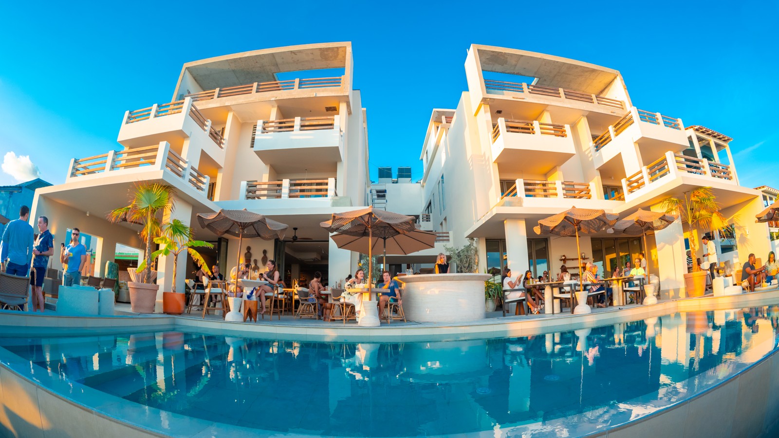 The Lemon Tree Curacao - Image 1