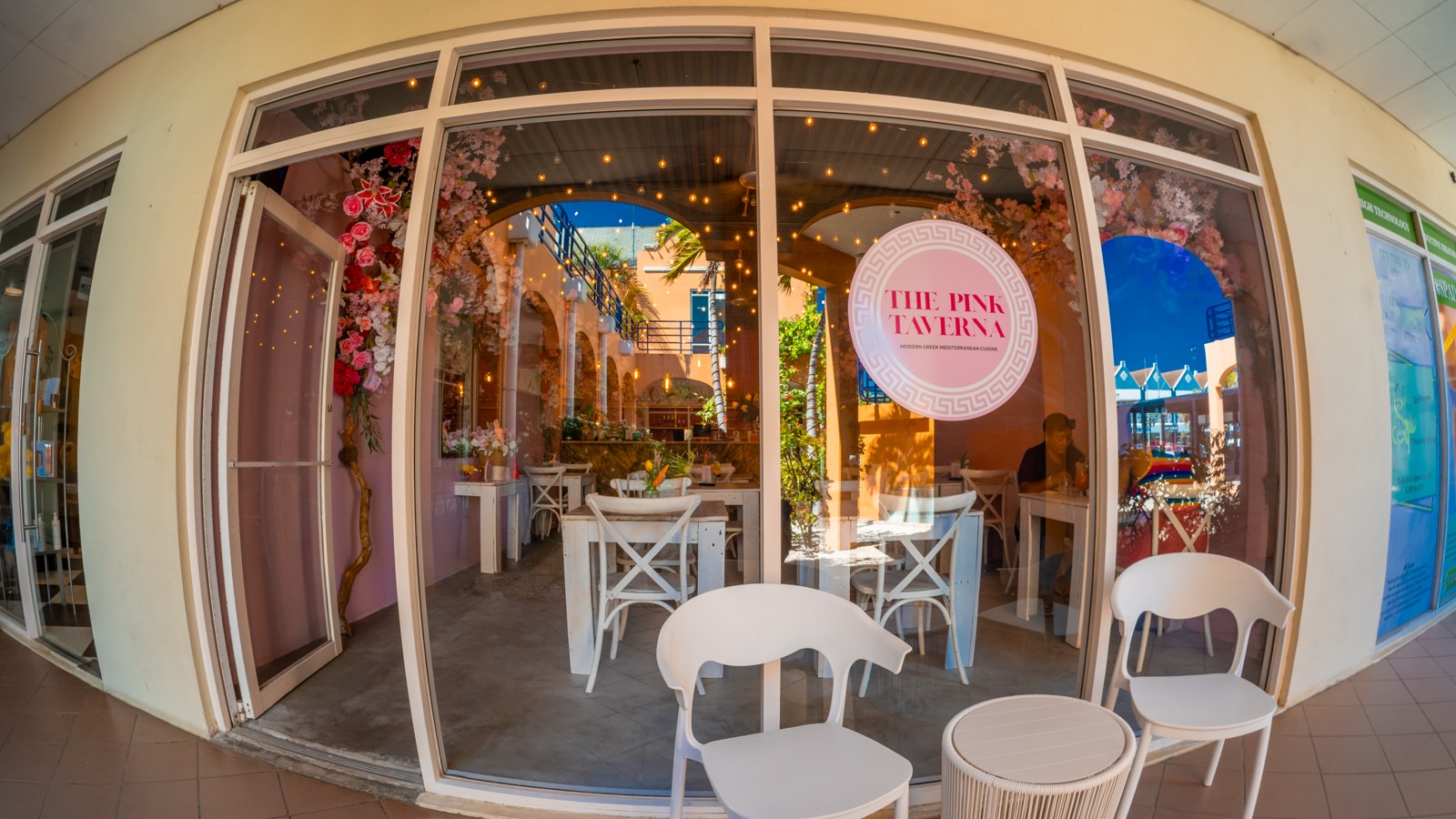 The Pink Iguana - Image 2