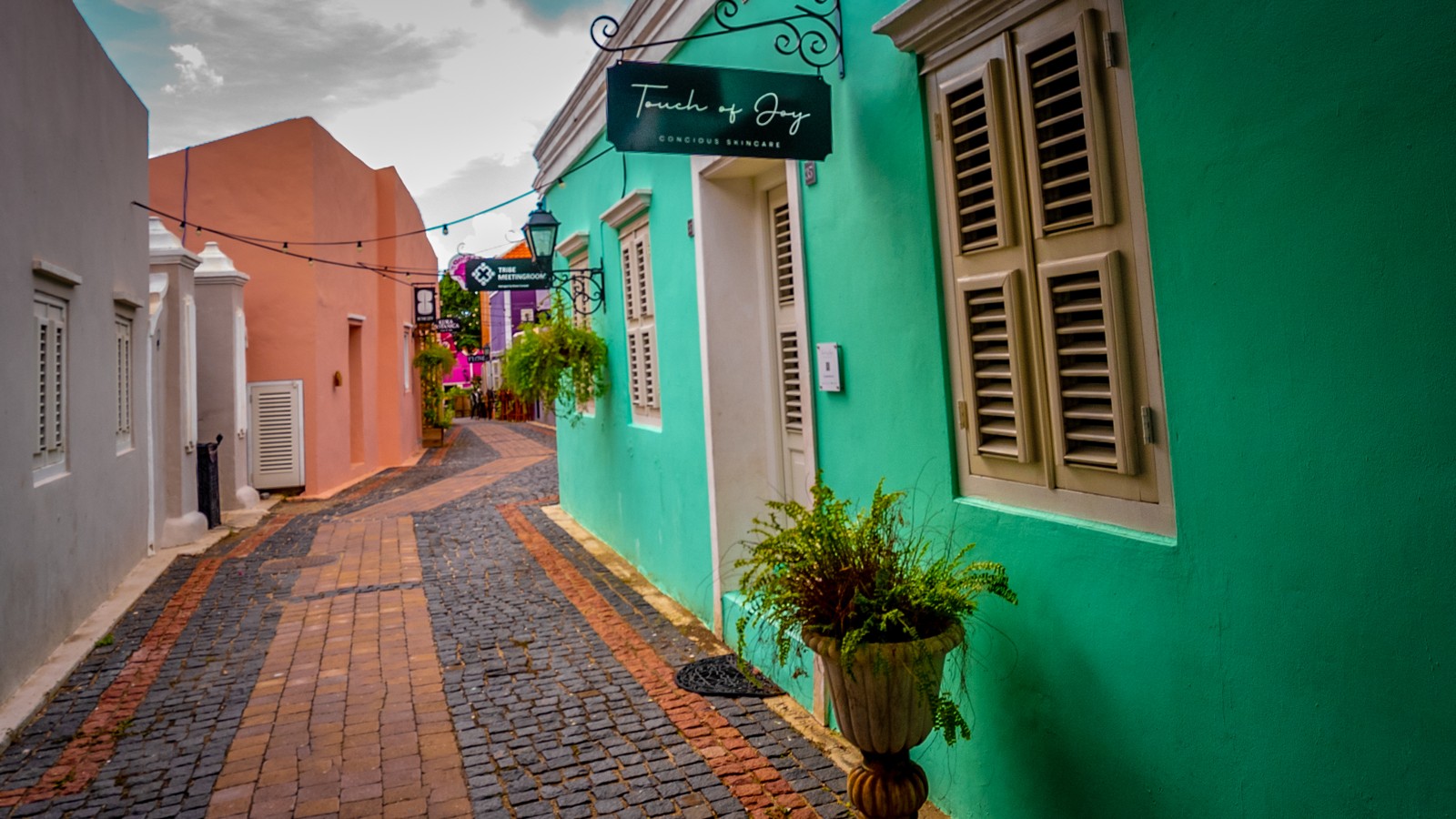 Touch of Joy - Image 1