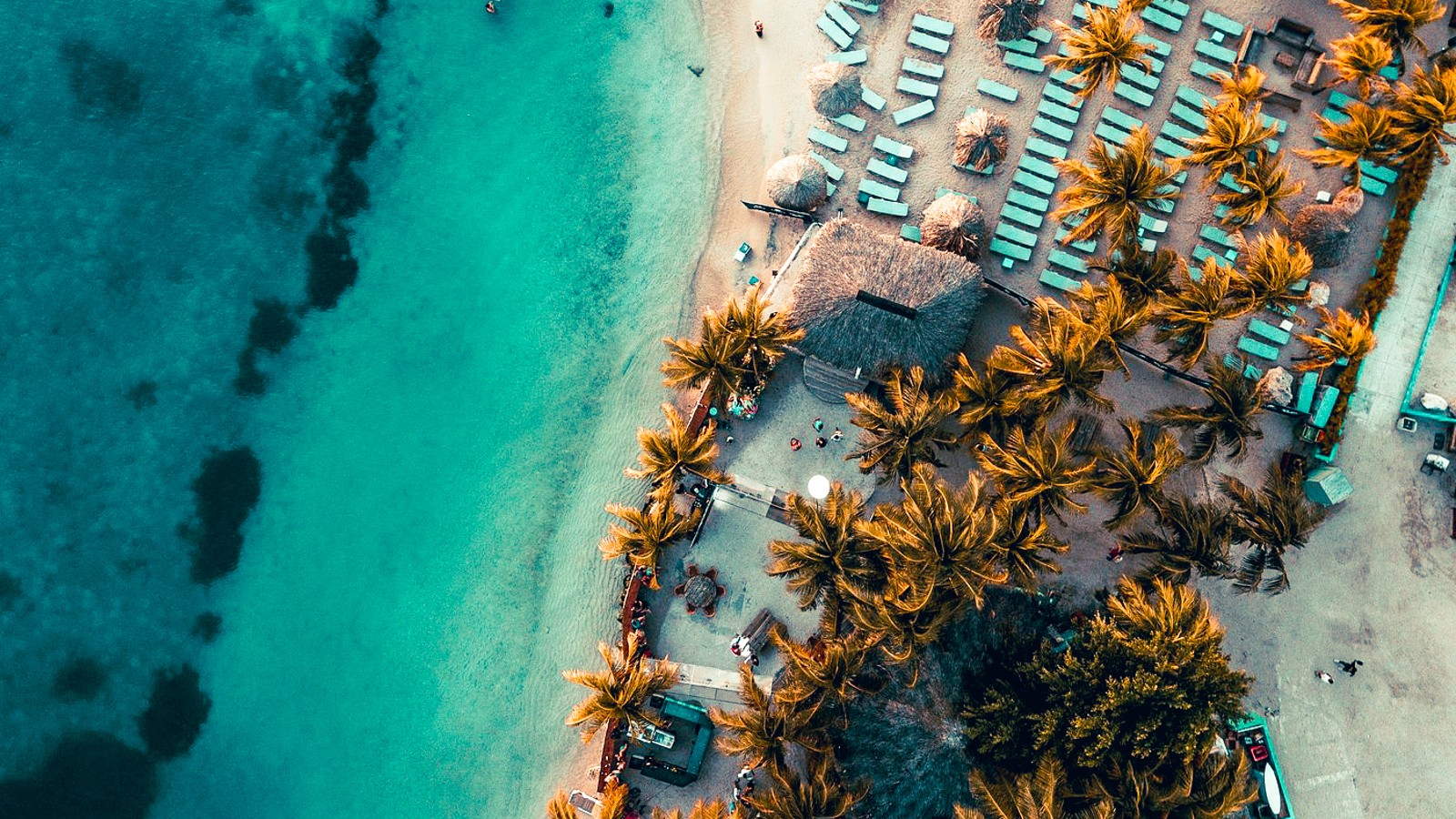 Happy Hour - Wet & Wild - Image 1