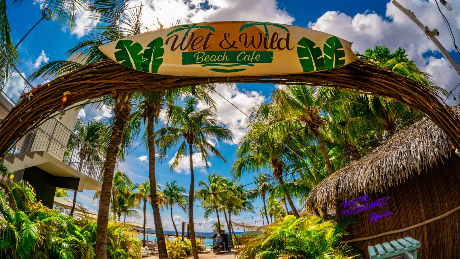 Wet & Wild By Day - Image 1