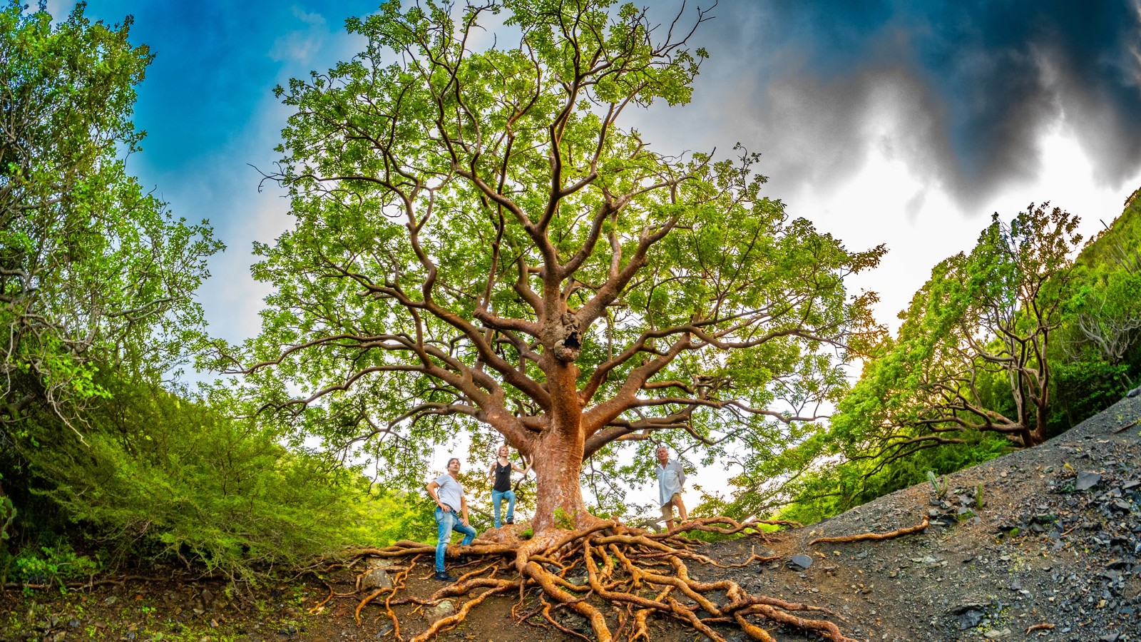 Nature Tour - Image 1