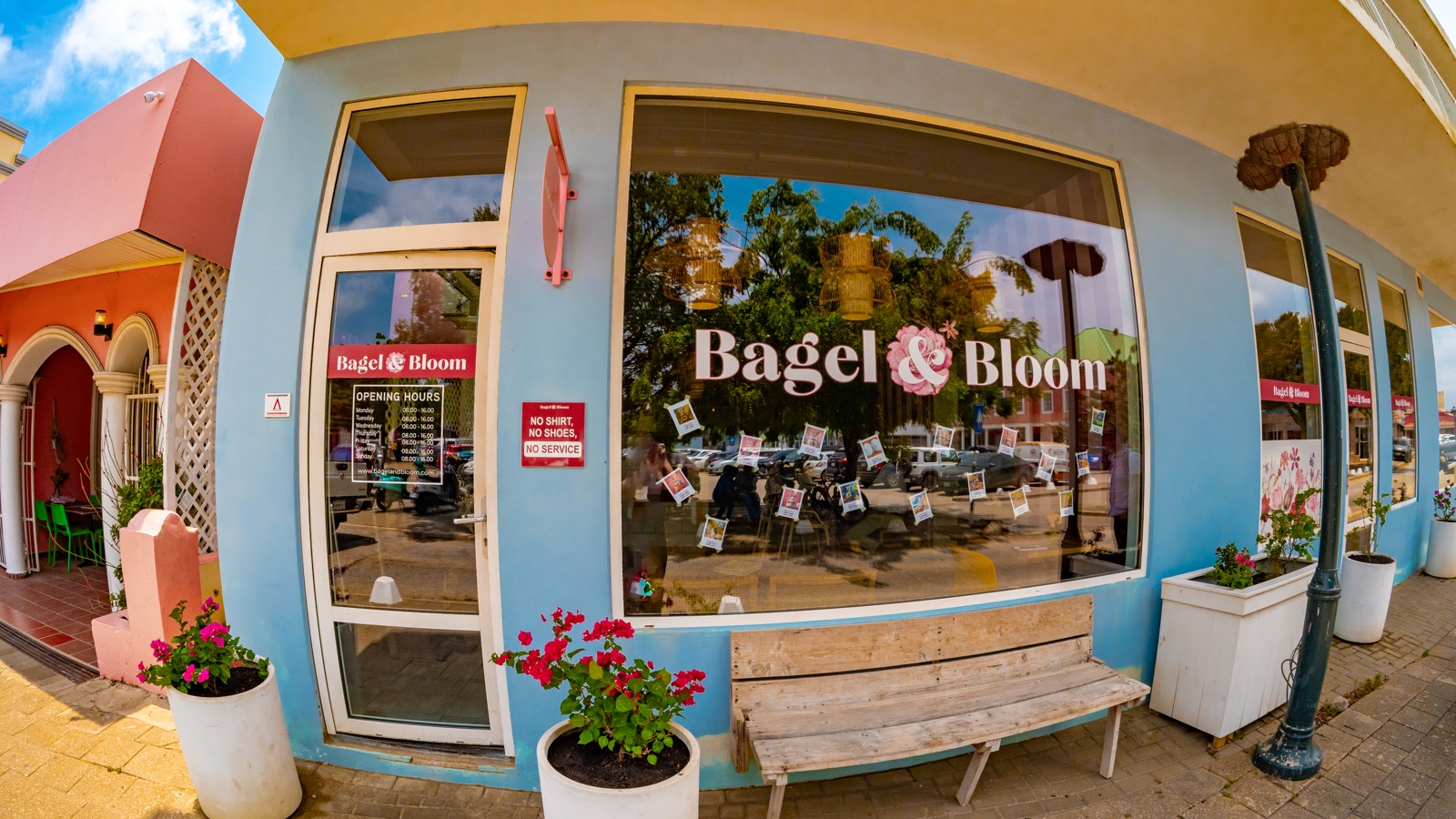 Bagel & Bloom - Image 1
