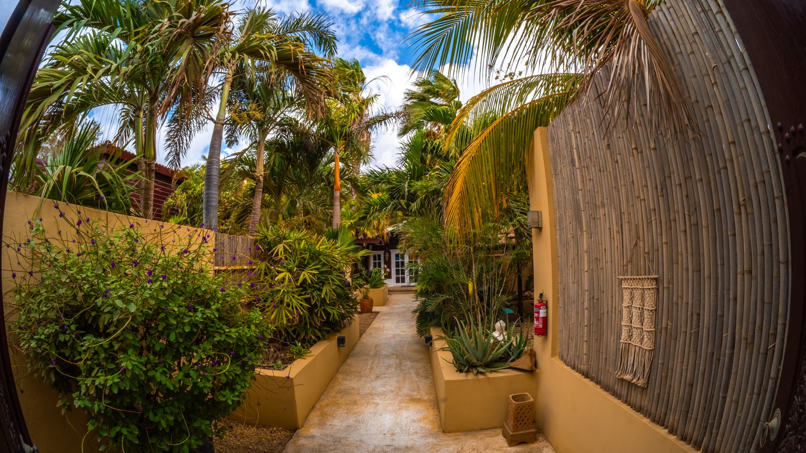 CHEFS Bonaire - Image 2