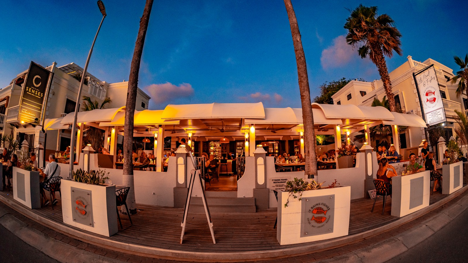 It Rains Fishes - Image 1