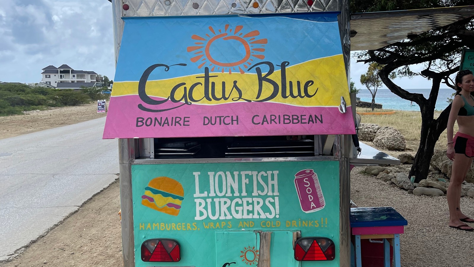Cactus Blue Bonaire - Image 1